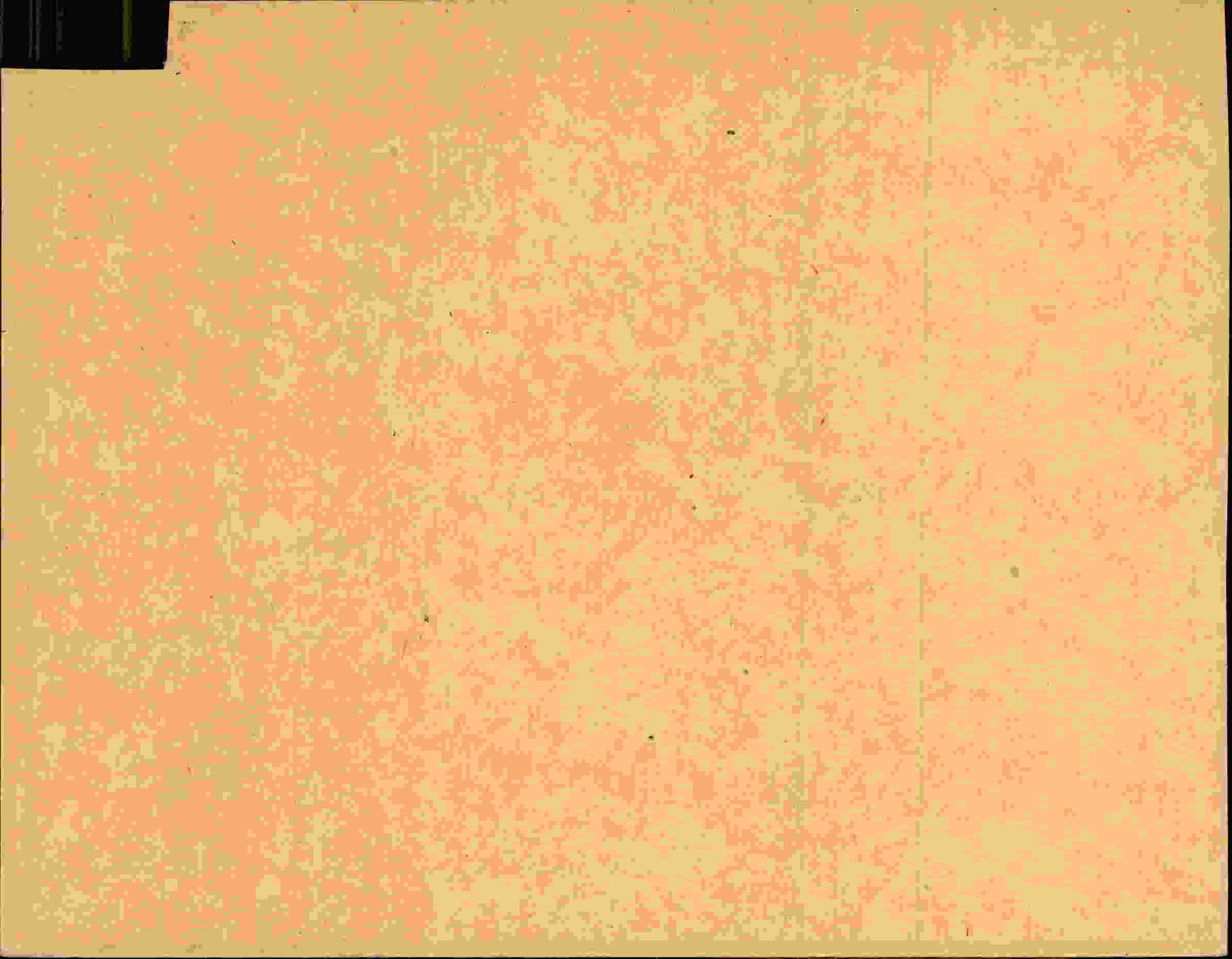 Rückseite des Dokuments