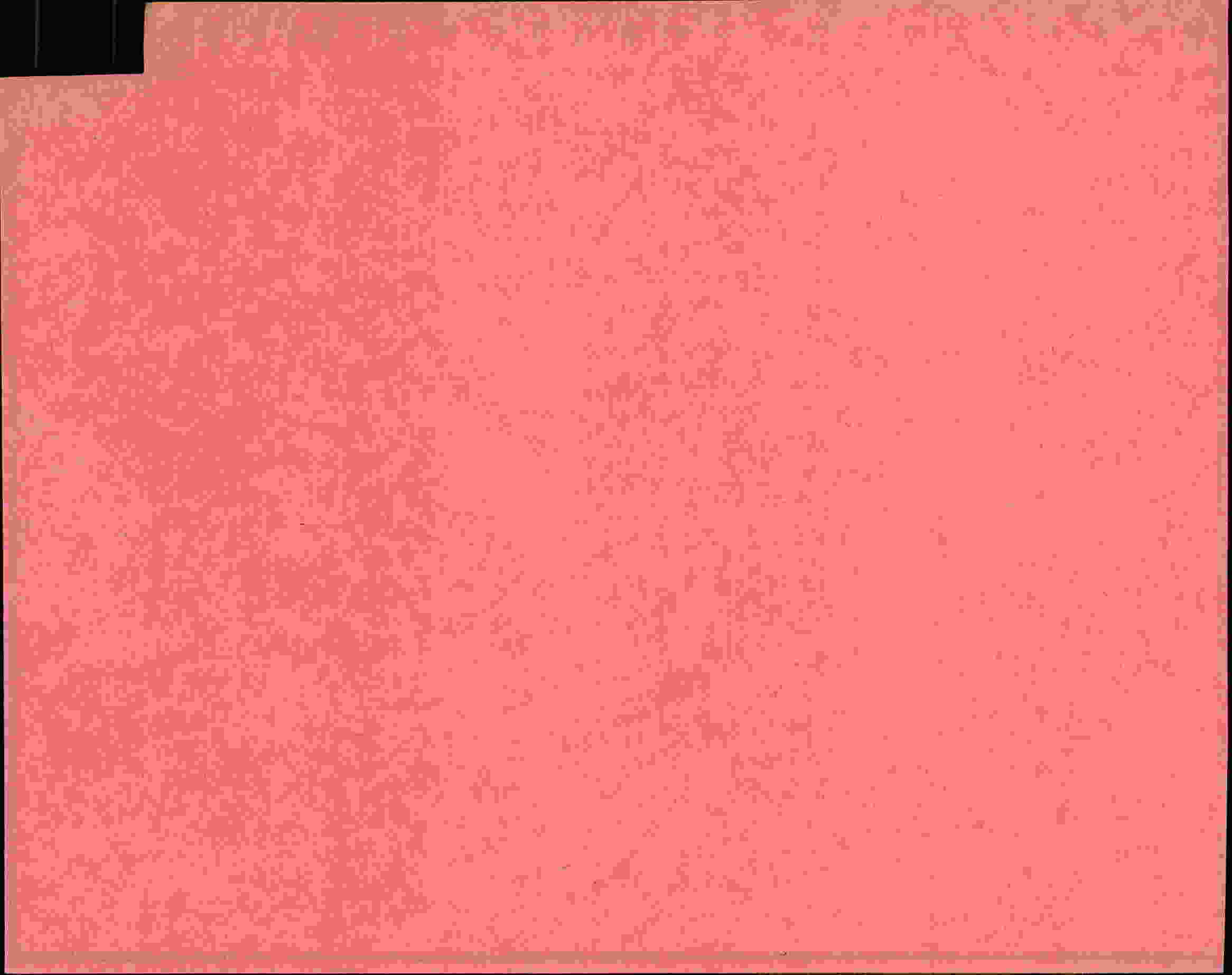 Rückseite des Dokuments