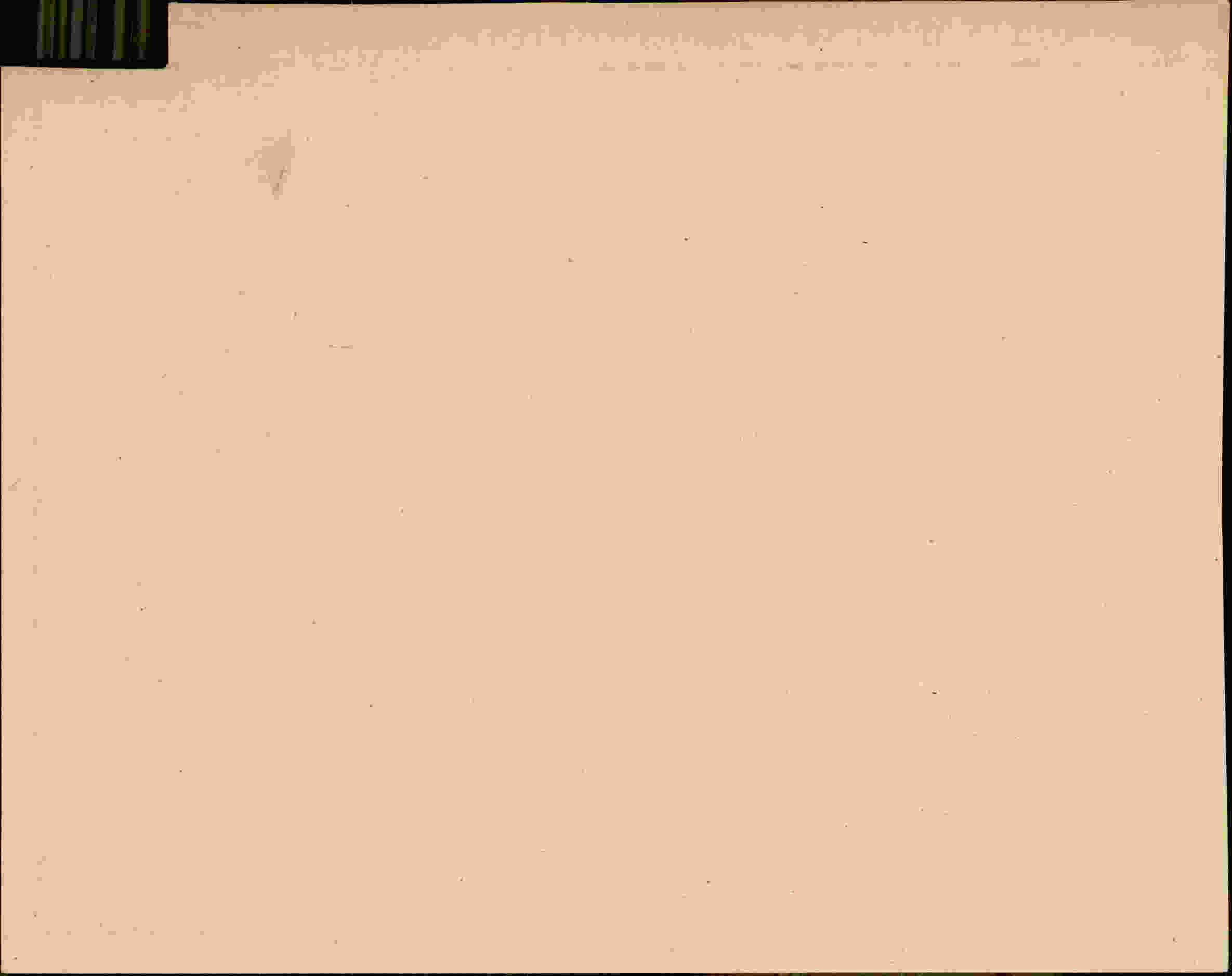 Rückseite des Dokuments