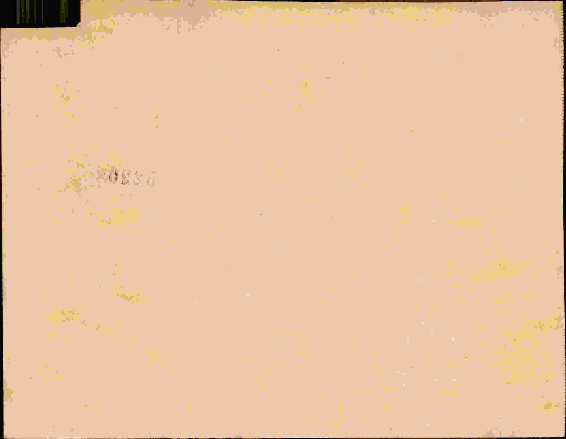 Rückseite des Dokuments
