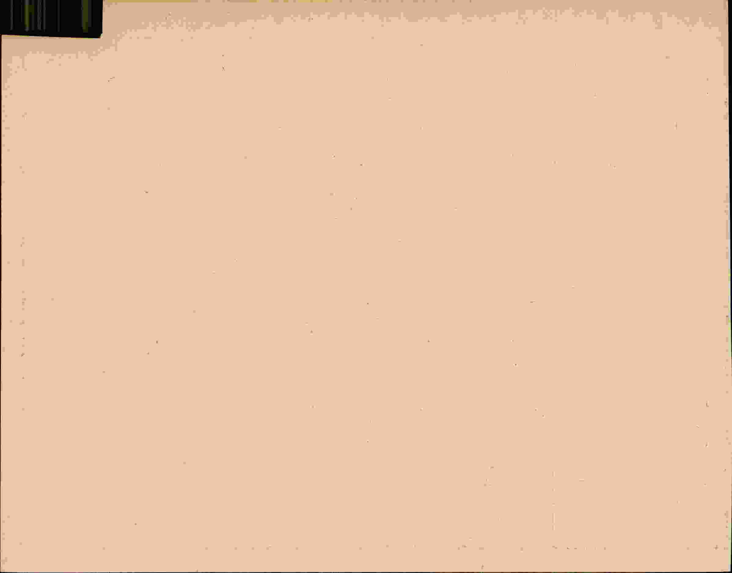 Rückseite des Dokuments