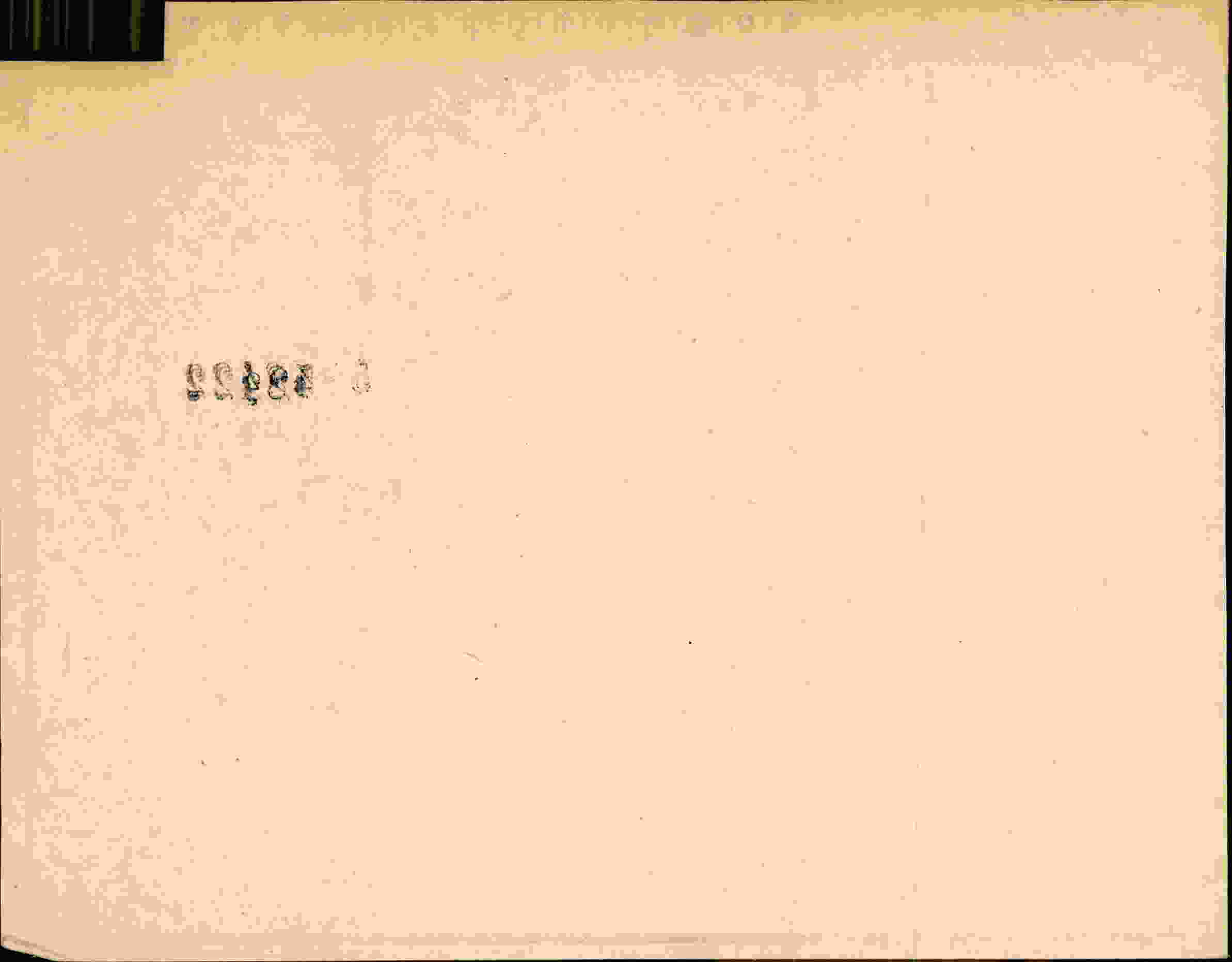 Rückseite des Dokuments