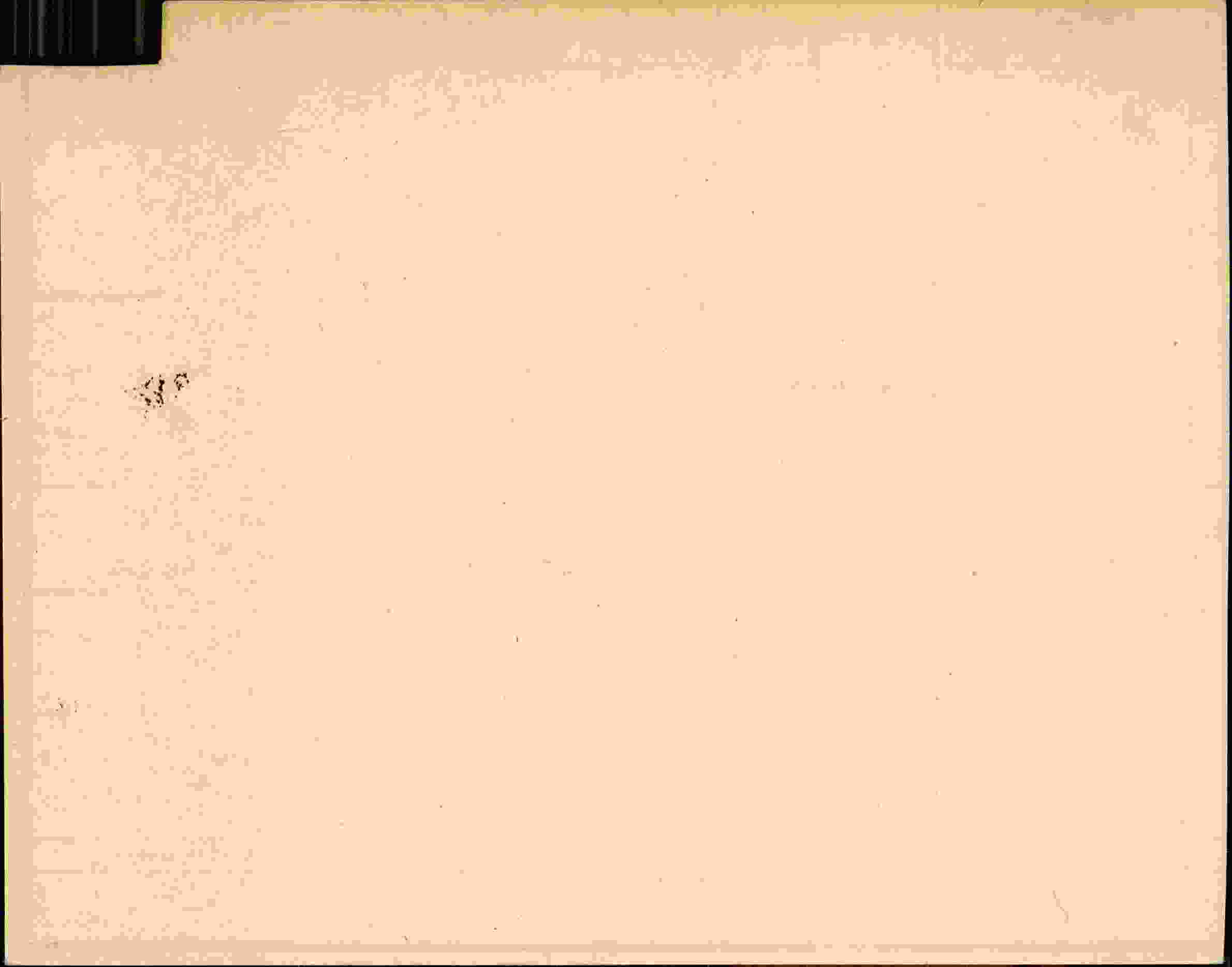 Rückseite des Dokuments