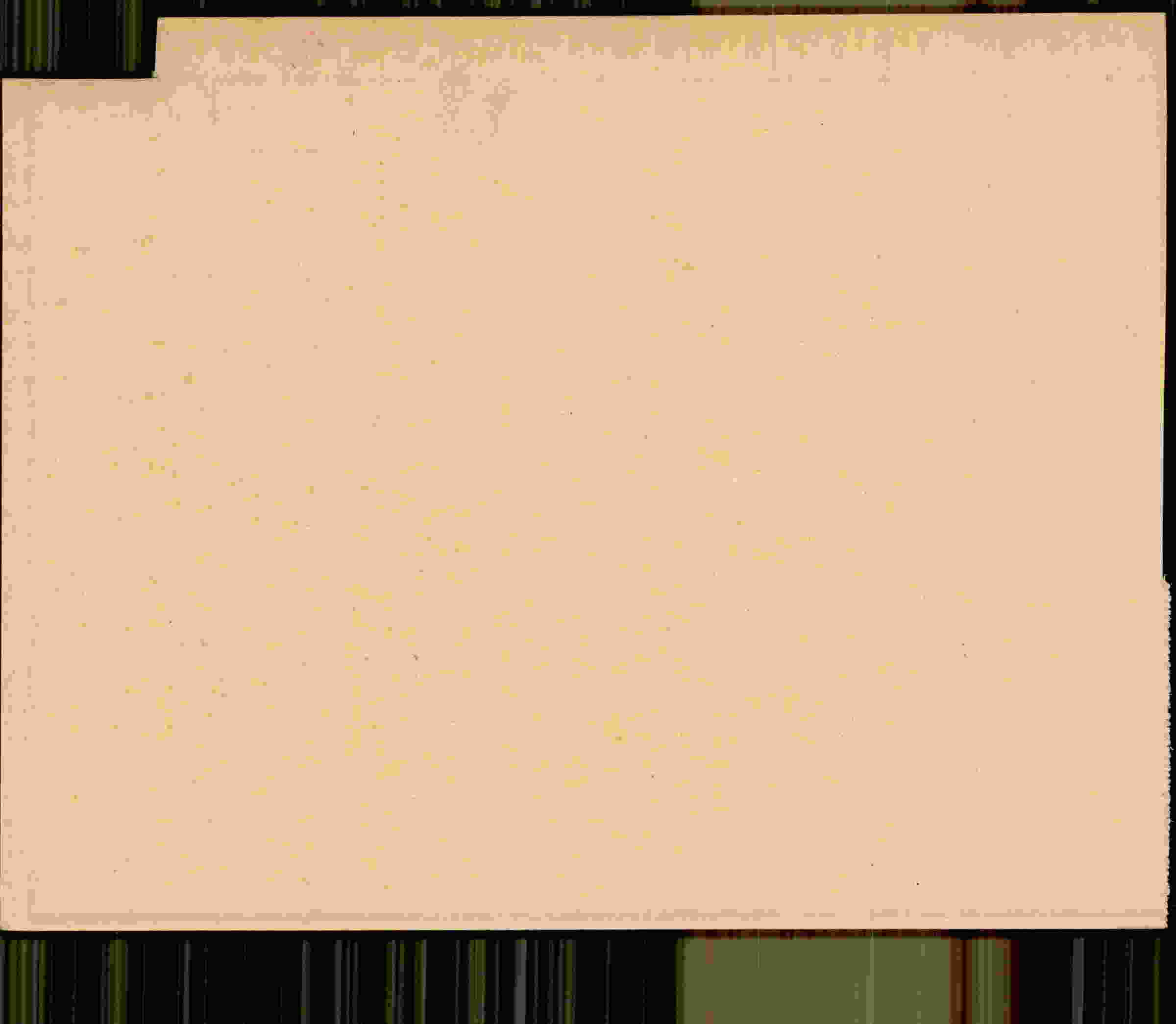 Rückseite des Dokuments
