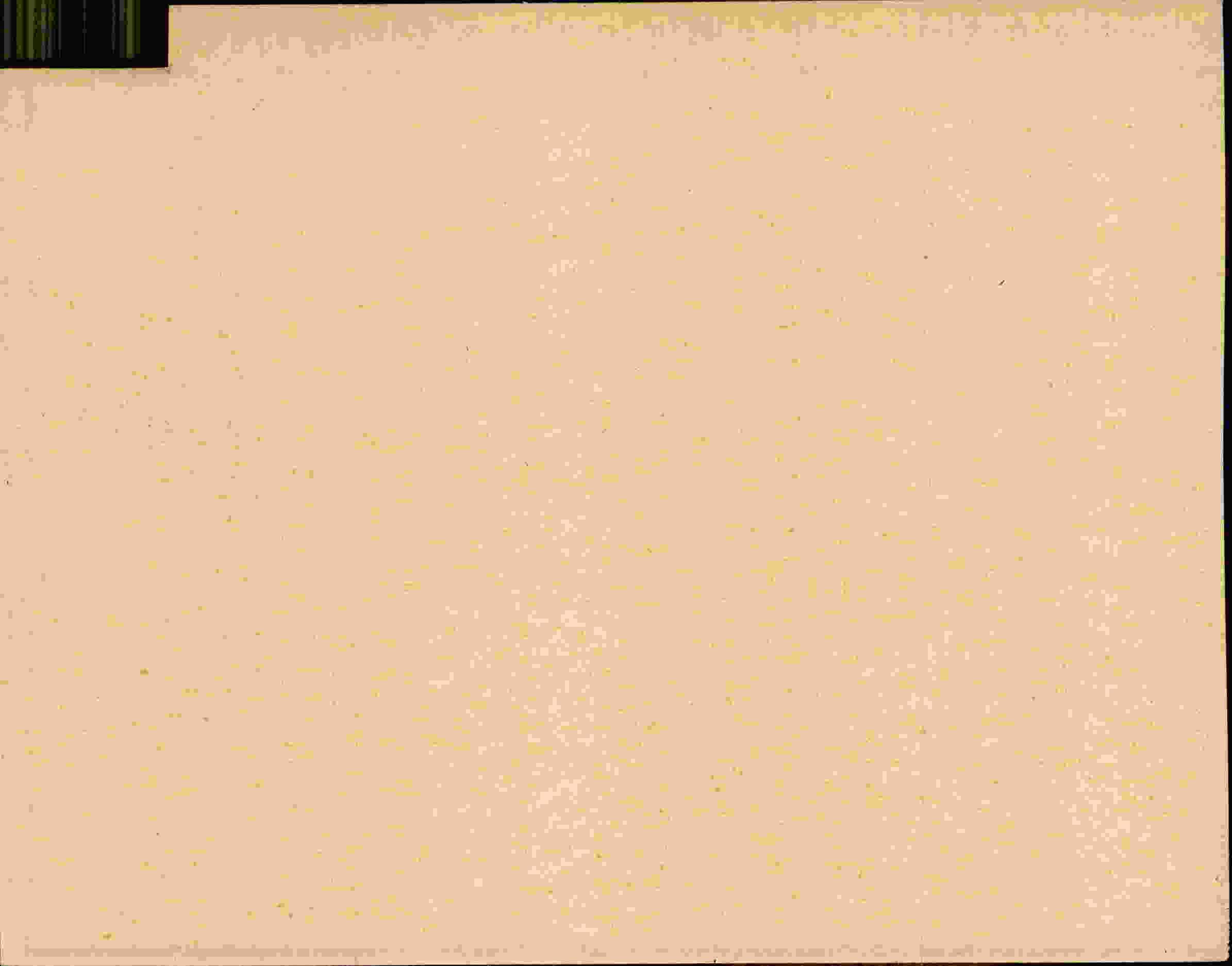 Rückseite des Dokuments
