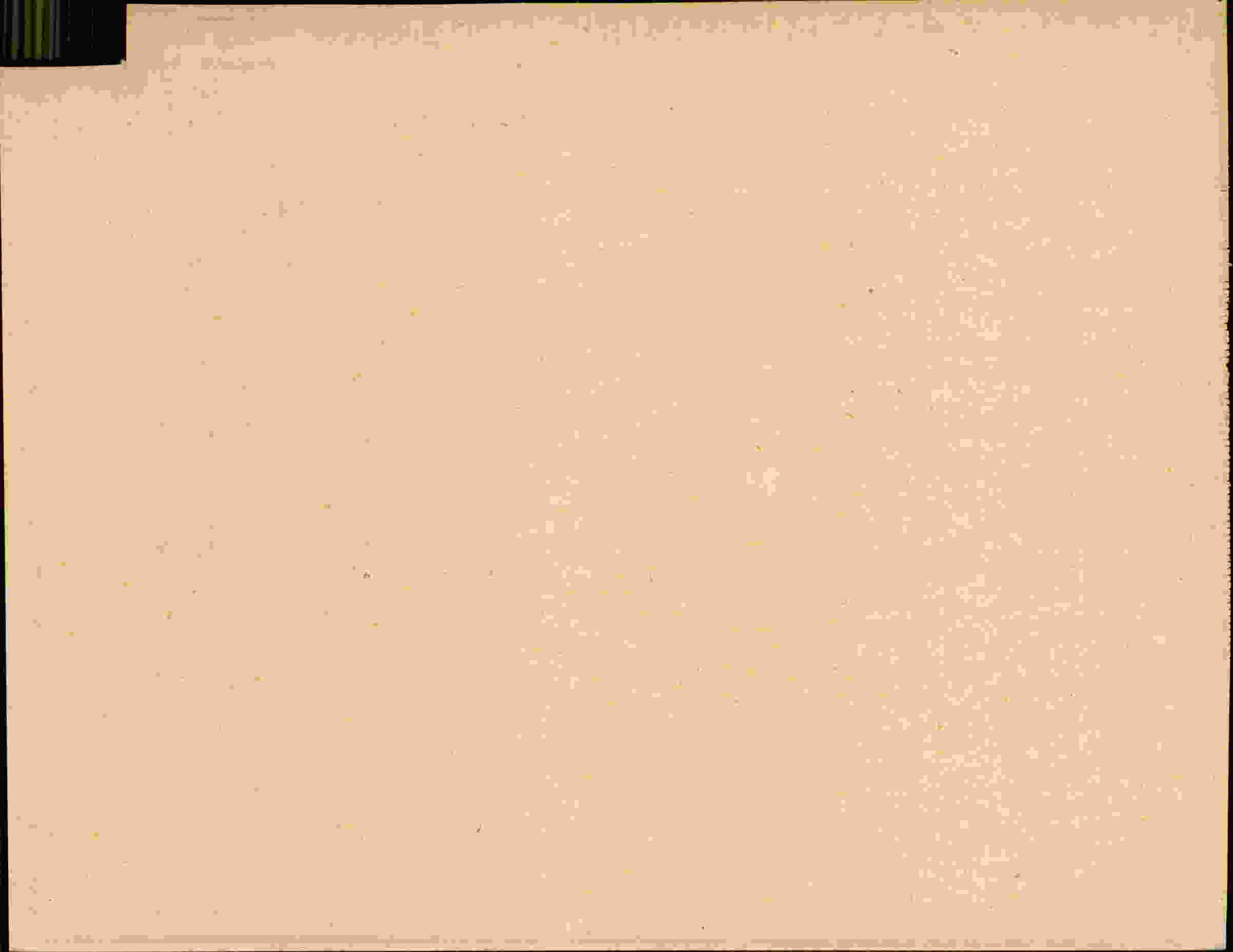 Rückseite des Dokuments