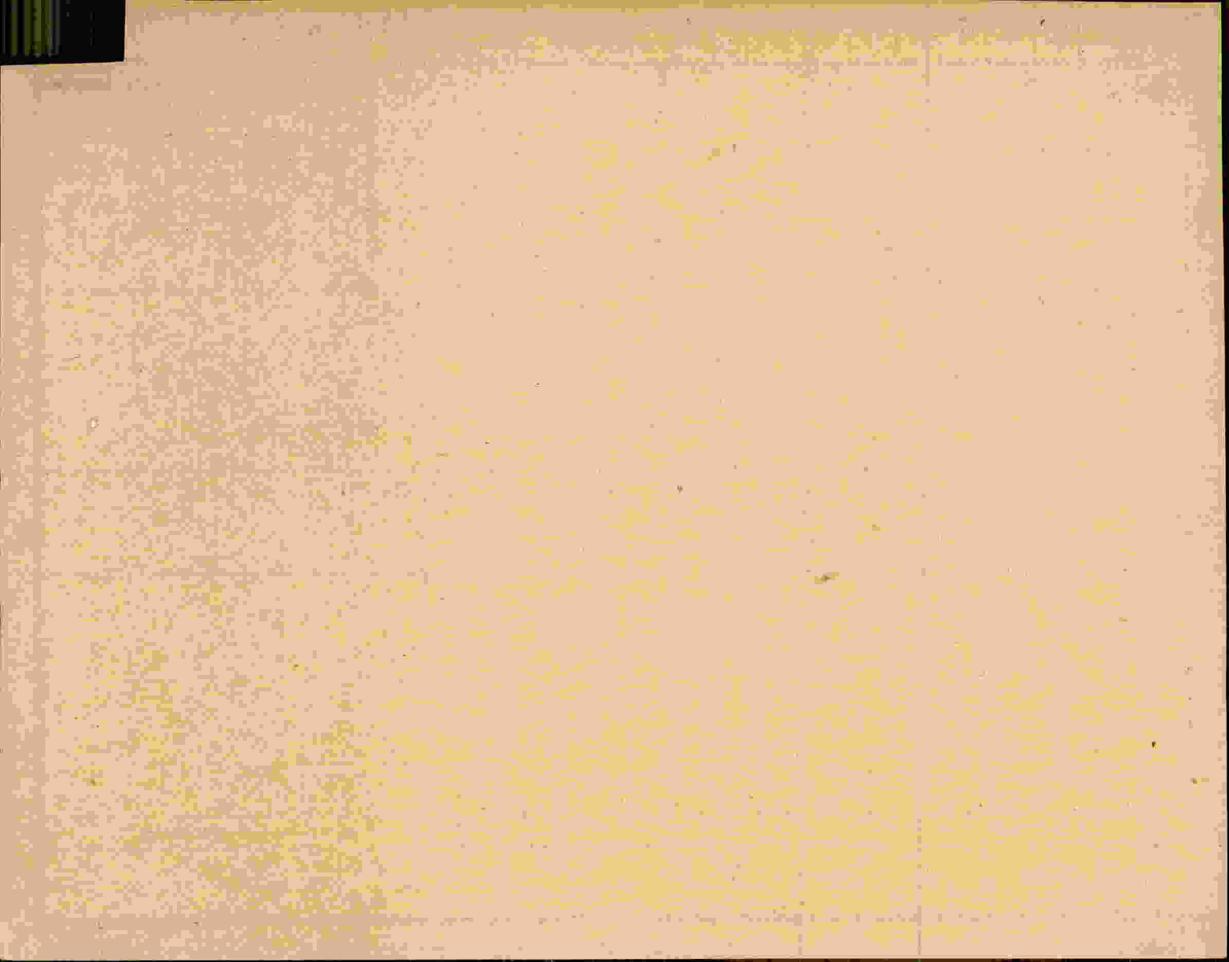 Rückseite des Dokuments