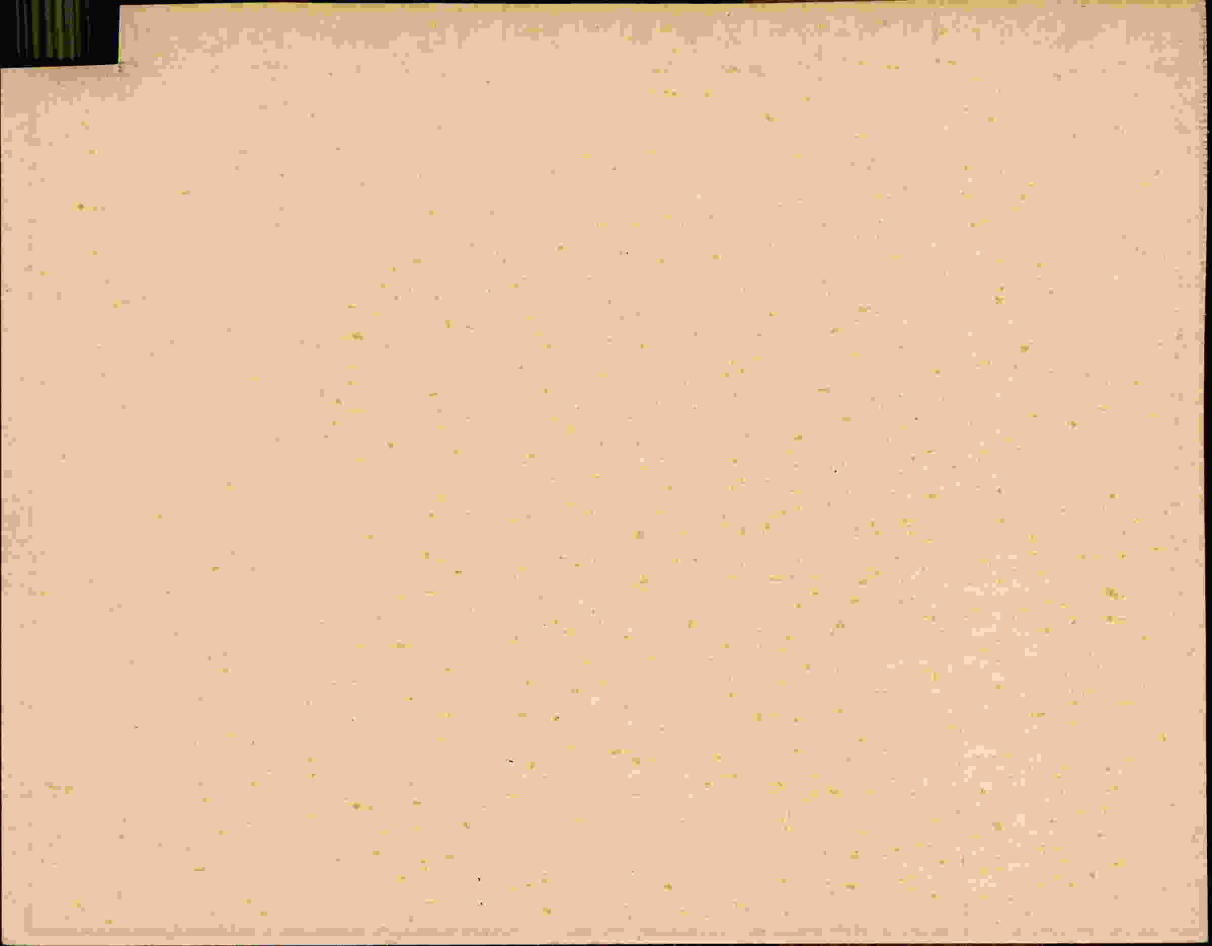 Rückseite des Dokuments