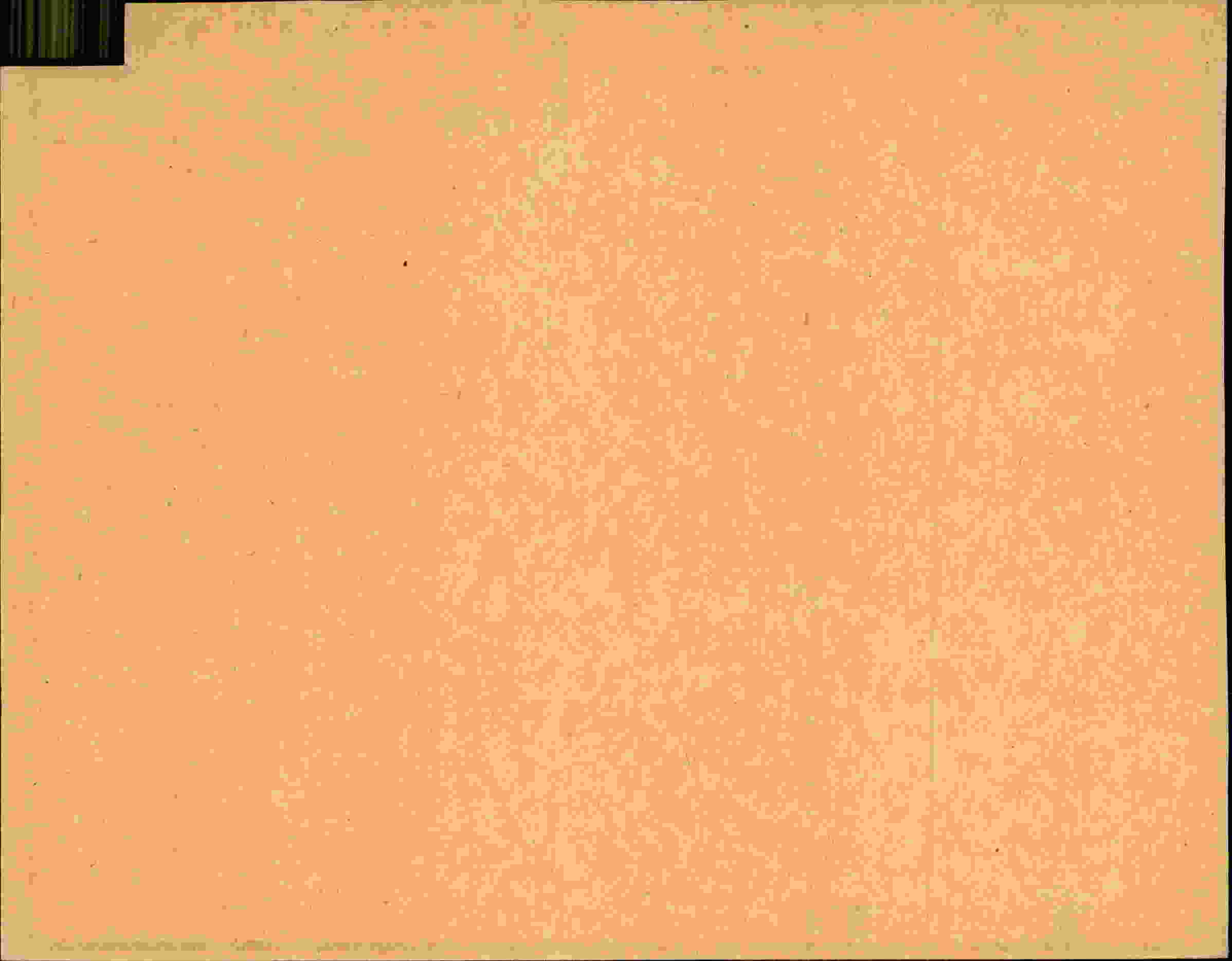 Rückseite des Dokuments