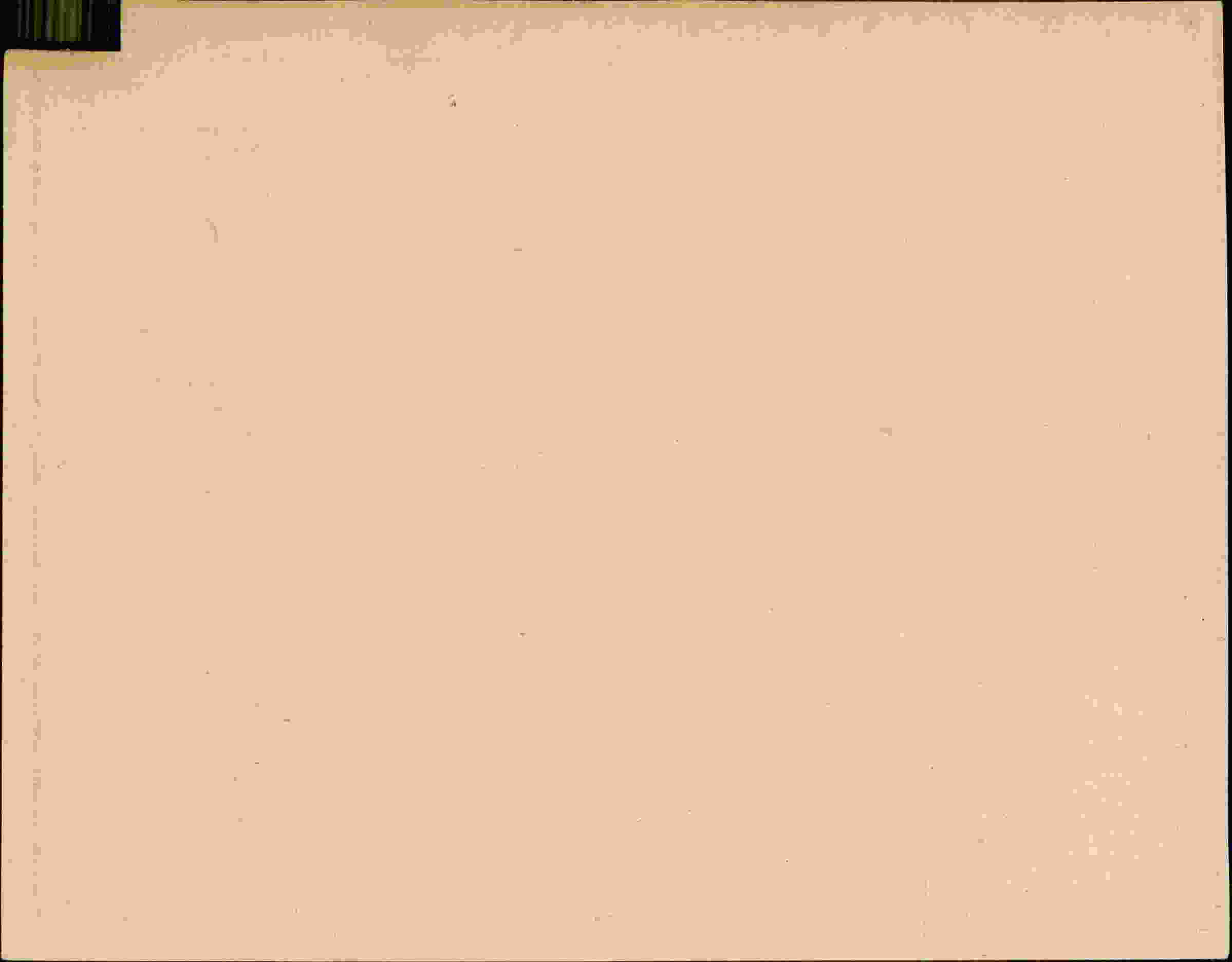 Rückseite des Dokuments