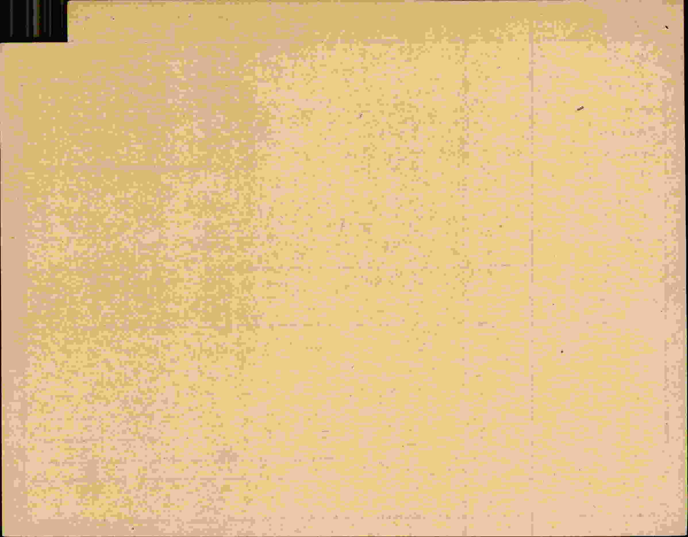 Rückseite des Dokuments