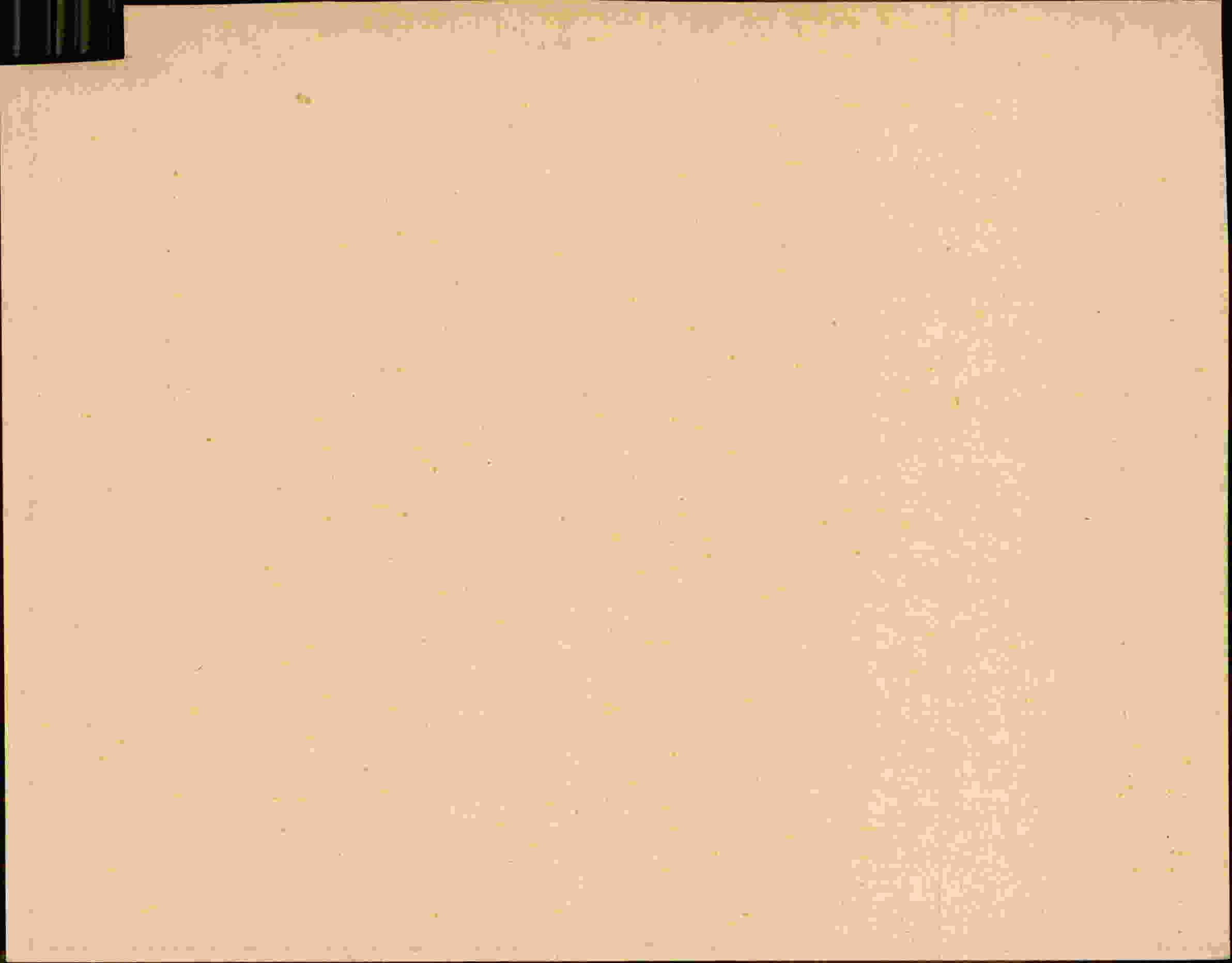 Rückseite des Dokuments