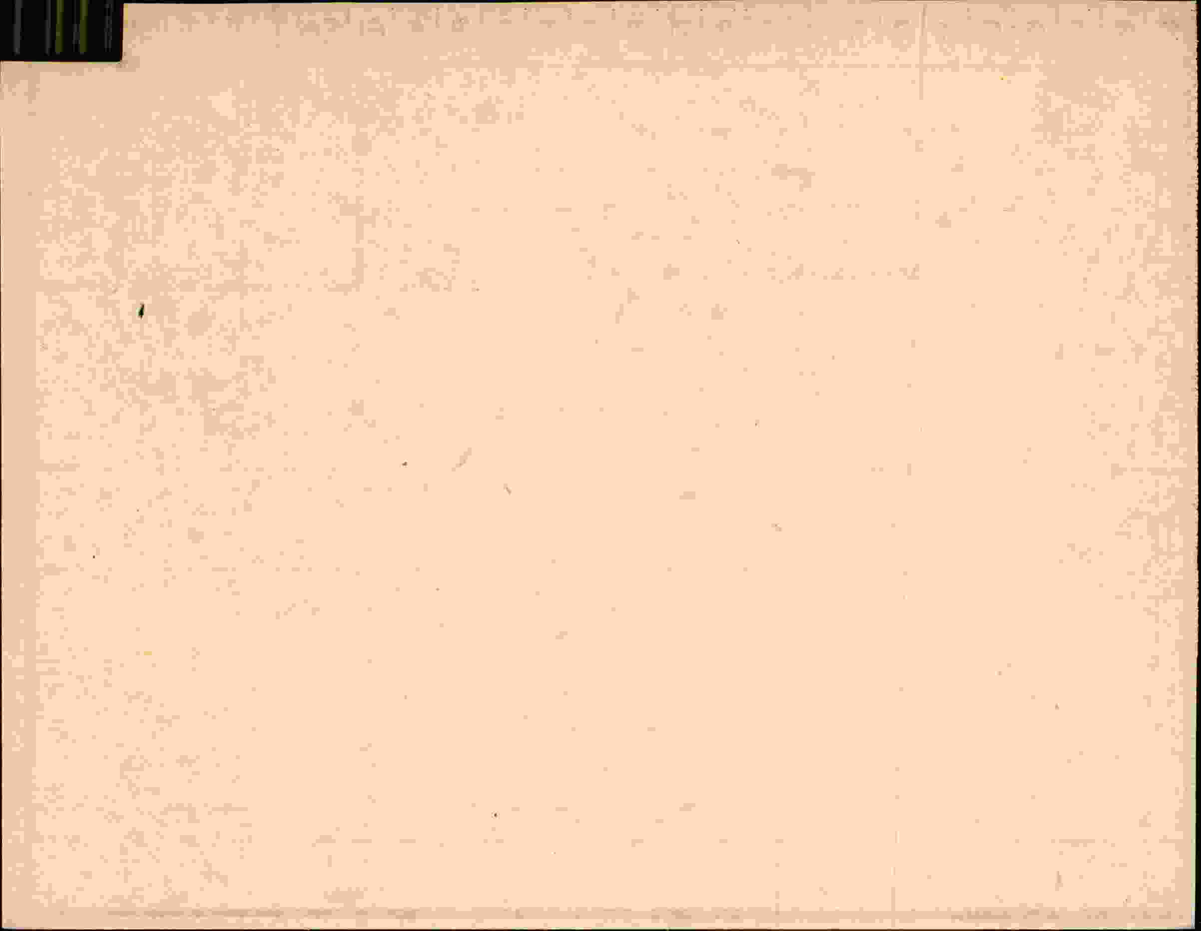 Rückseite des Dokuments