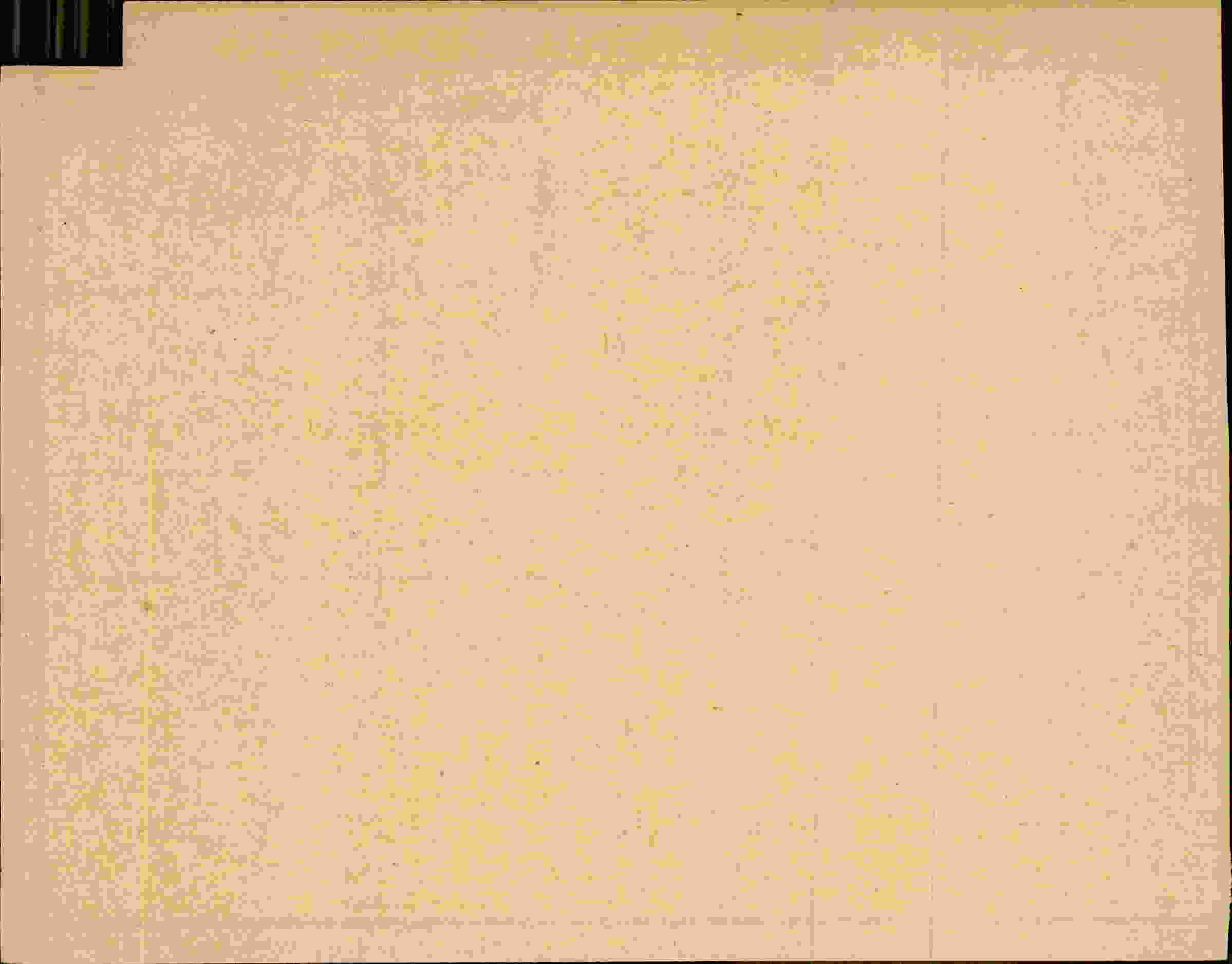 Rückseite des Dokuments