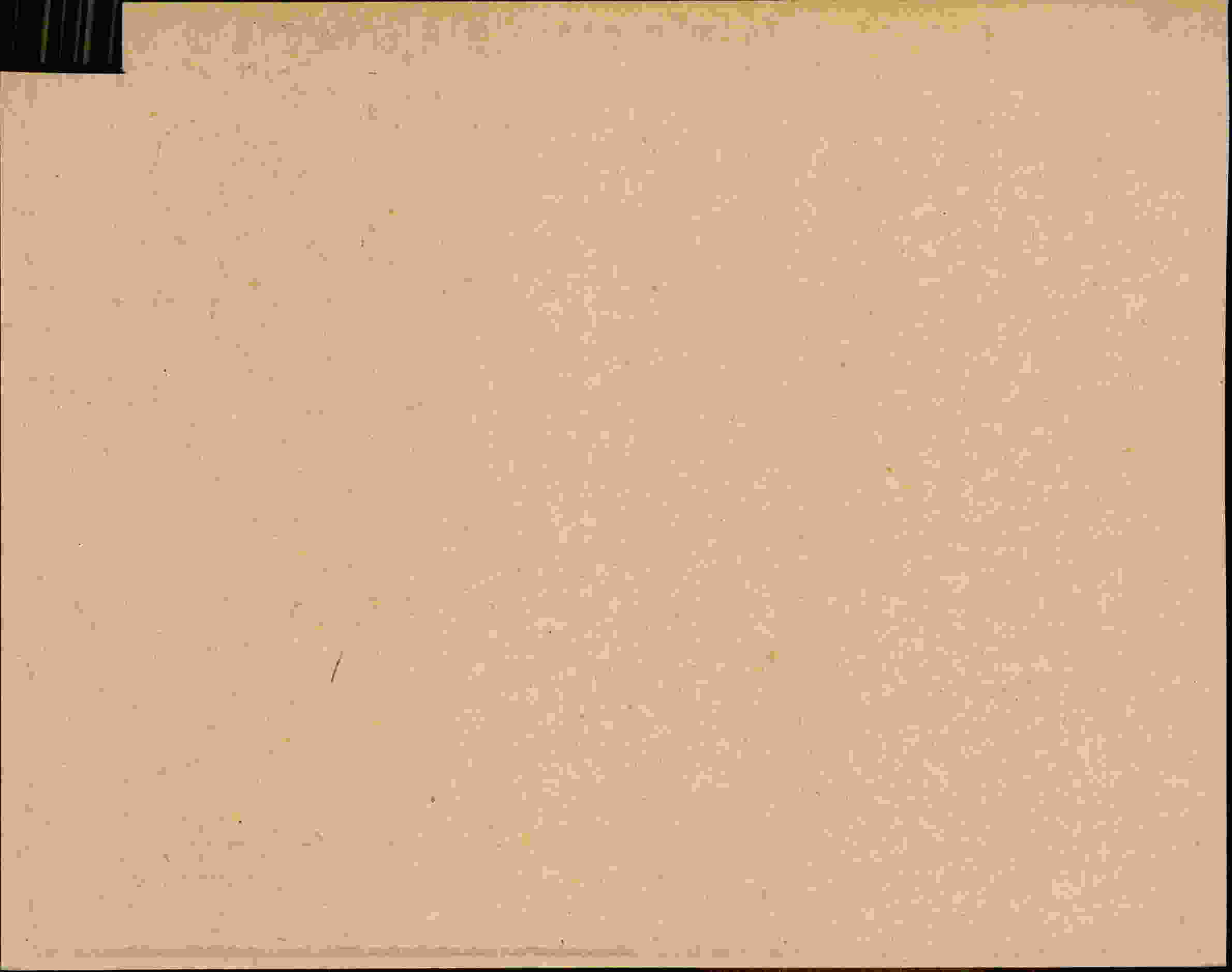 Rückseite des Dokuments