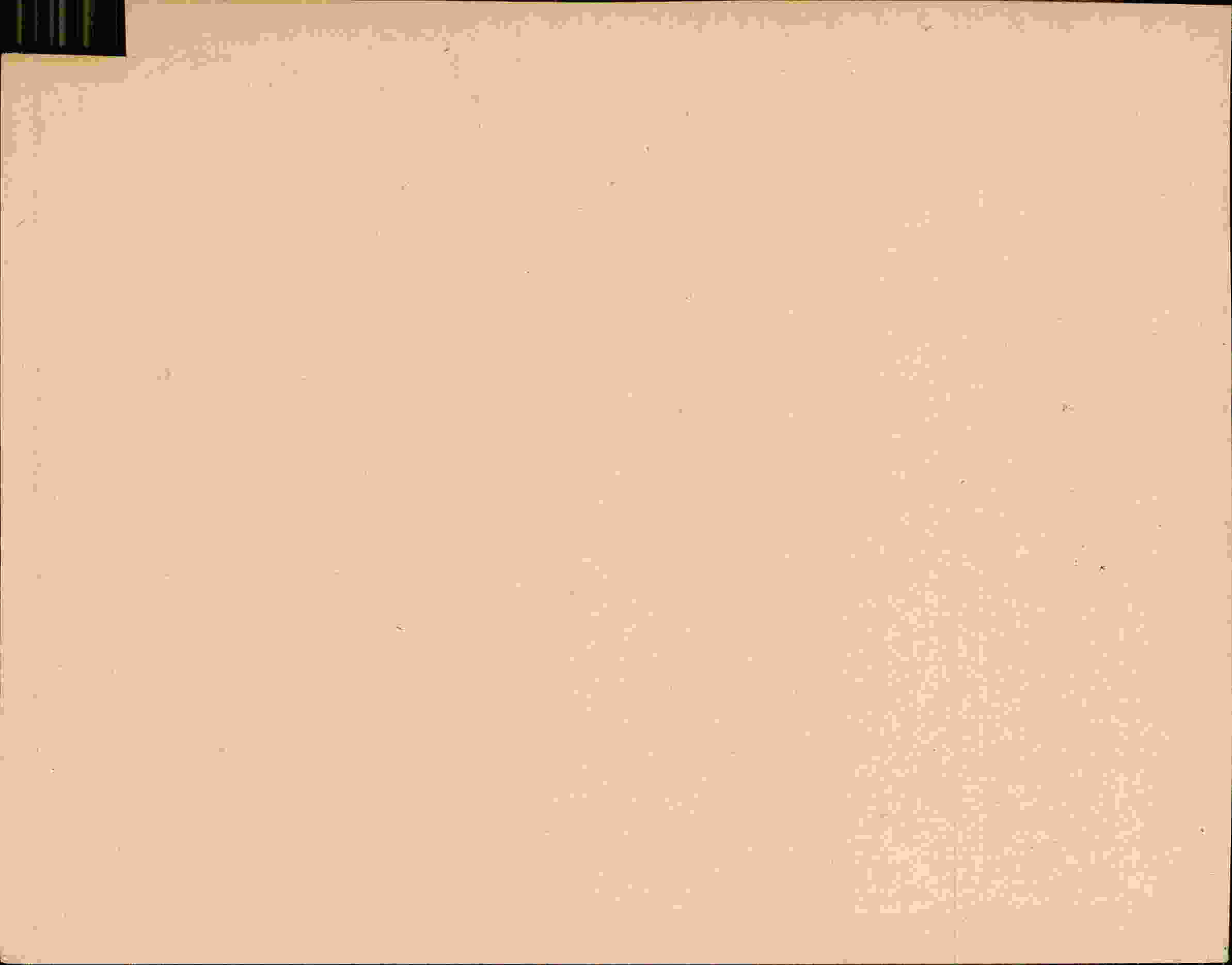 Rückseite des Dokuments