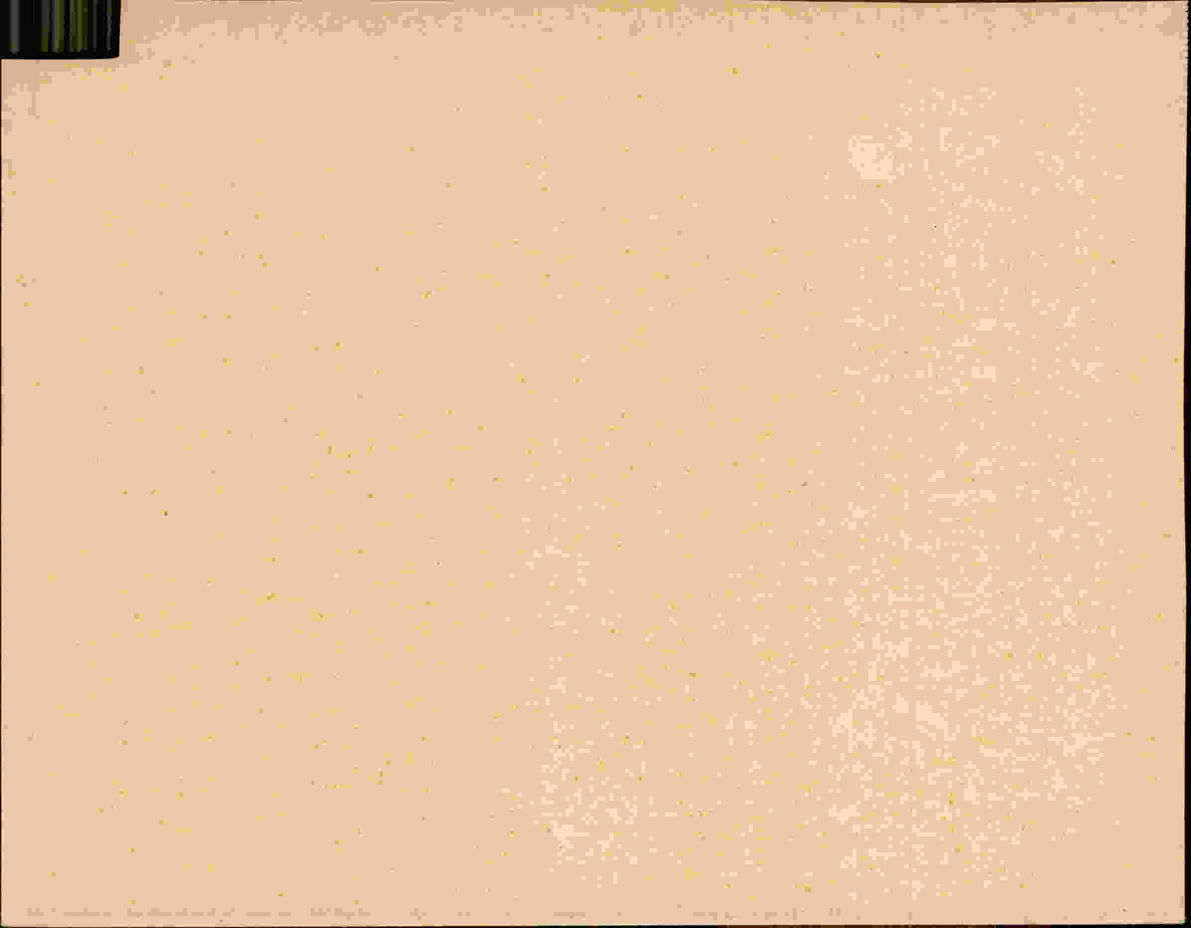 Rückseite des Dokuments