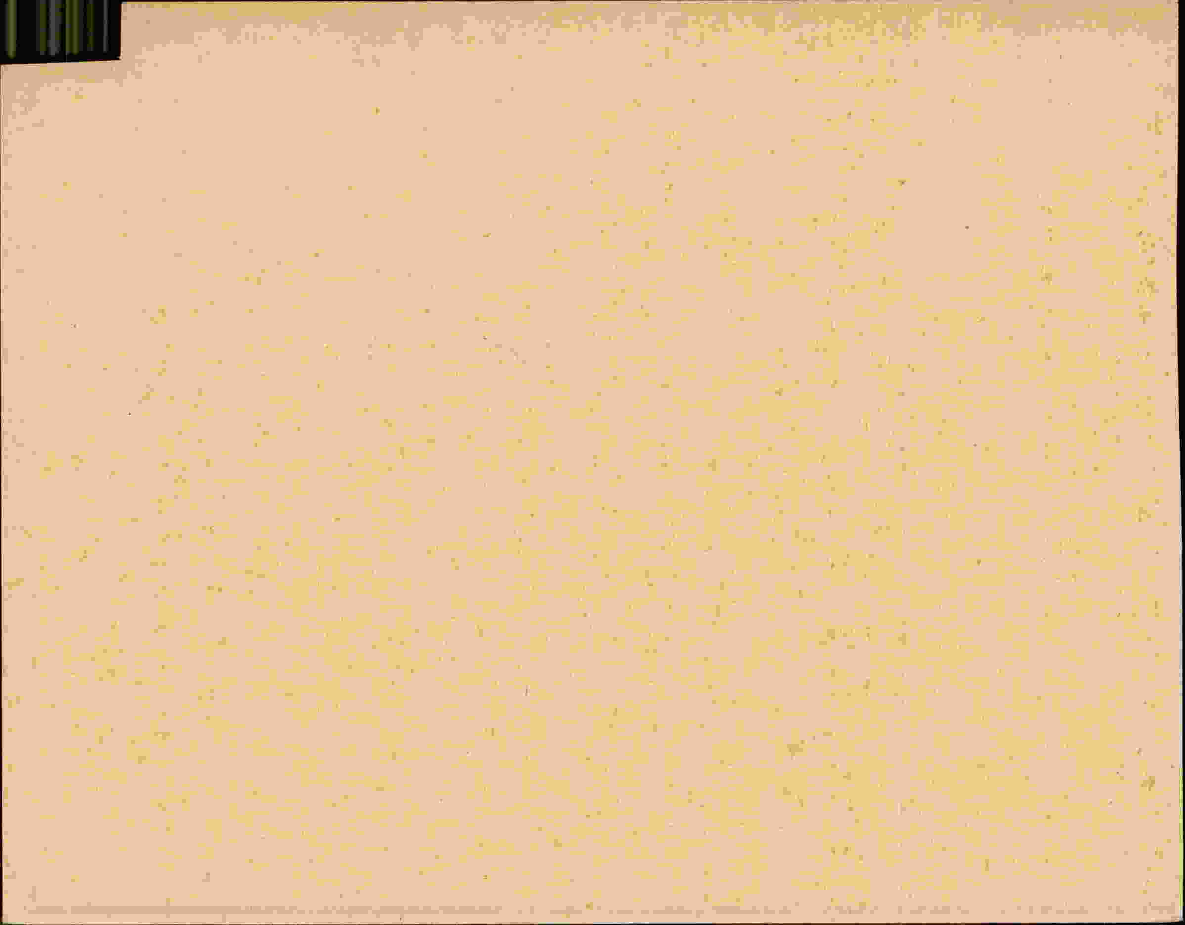 Rückseite des Dokuments