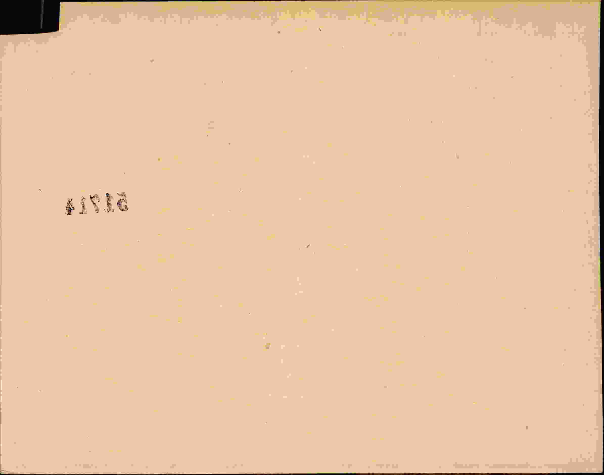 Rückseite des Dokuments