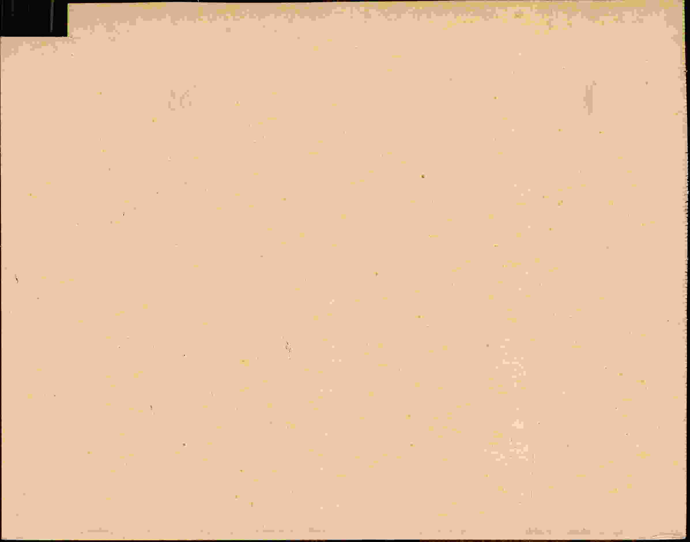 Rückseite des Dokuments