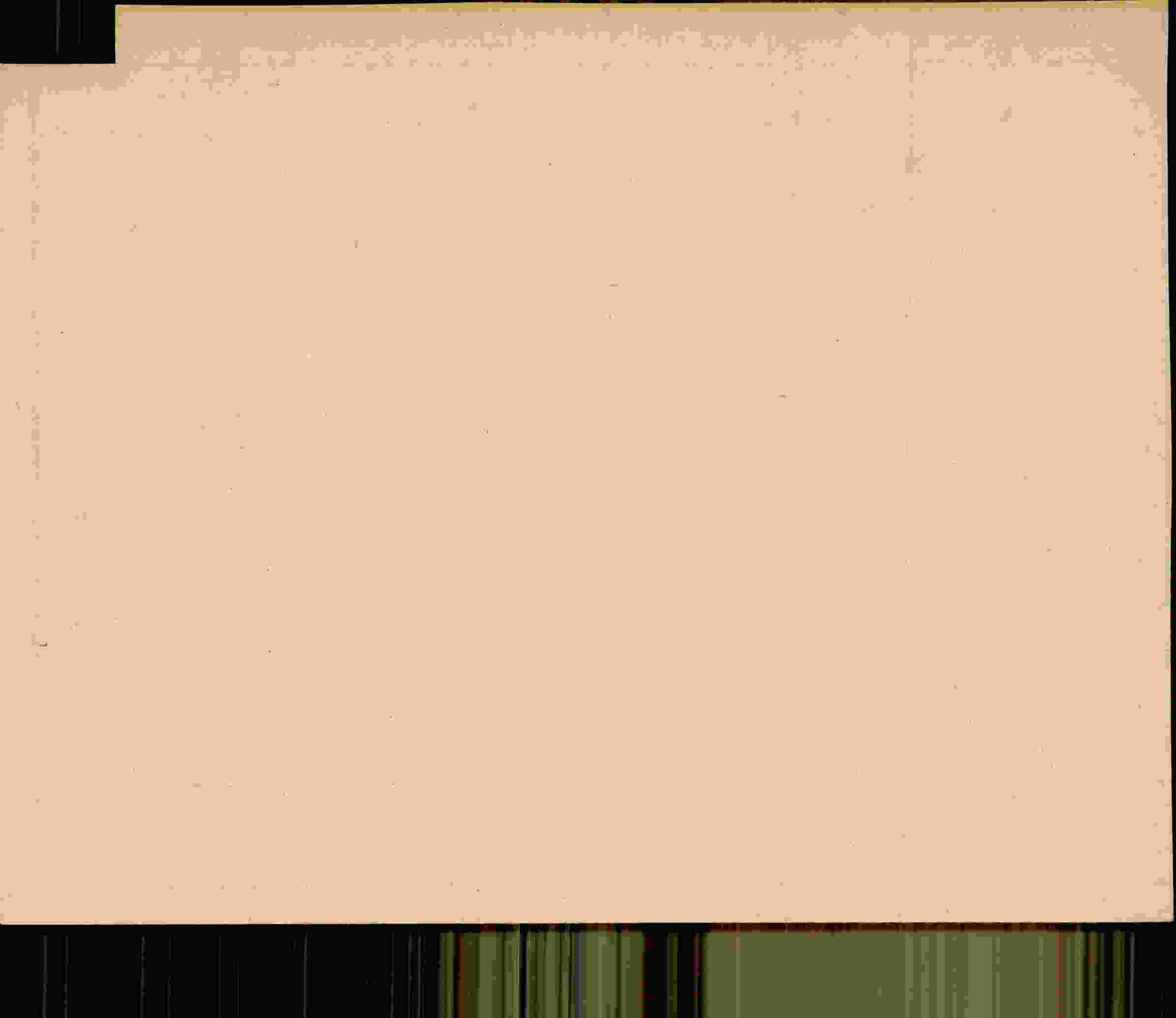 Rückseite des Dokuments