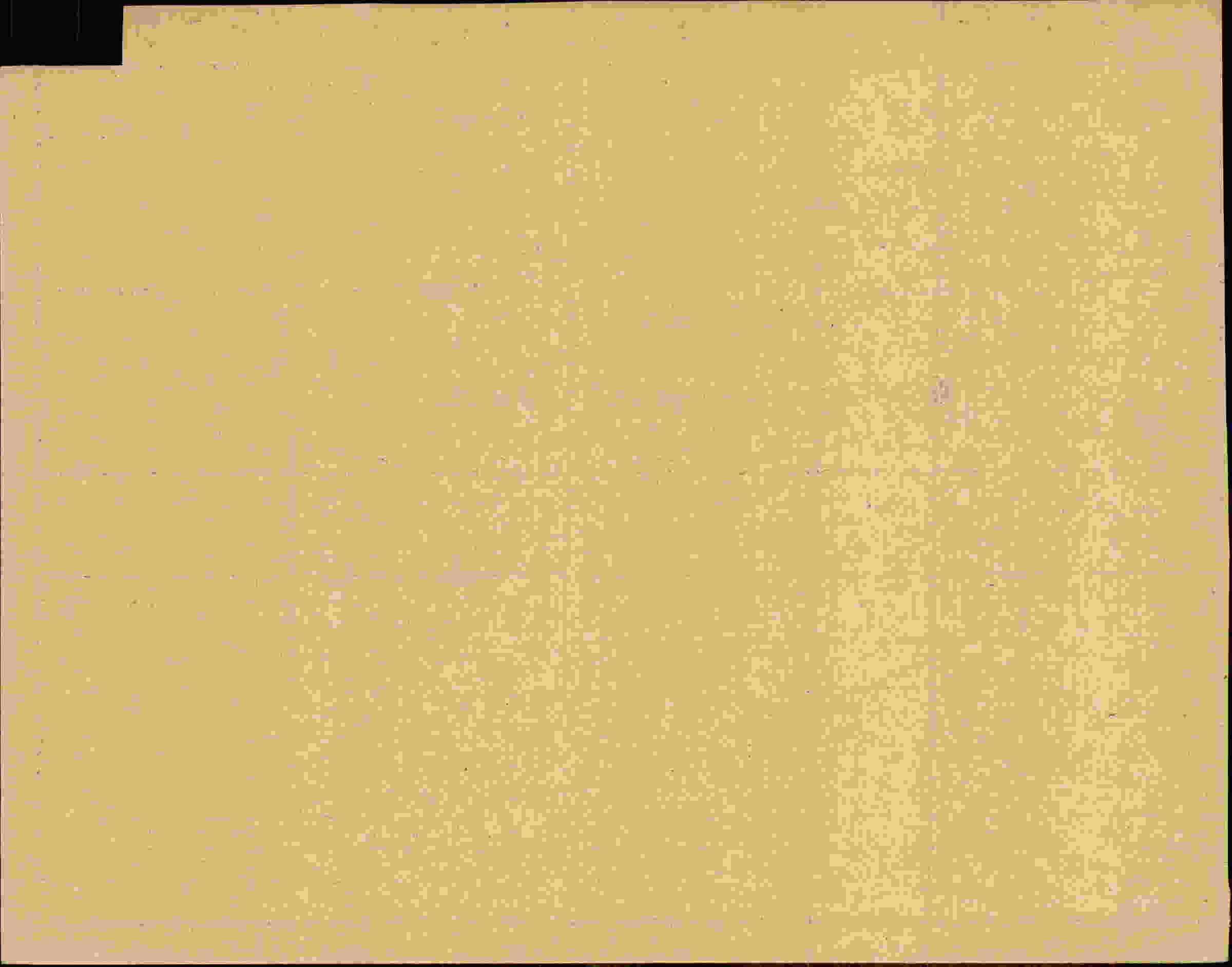 Rückseite