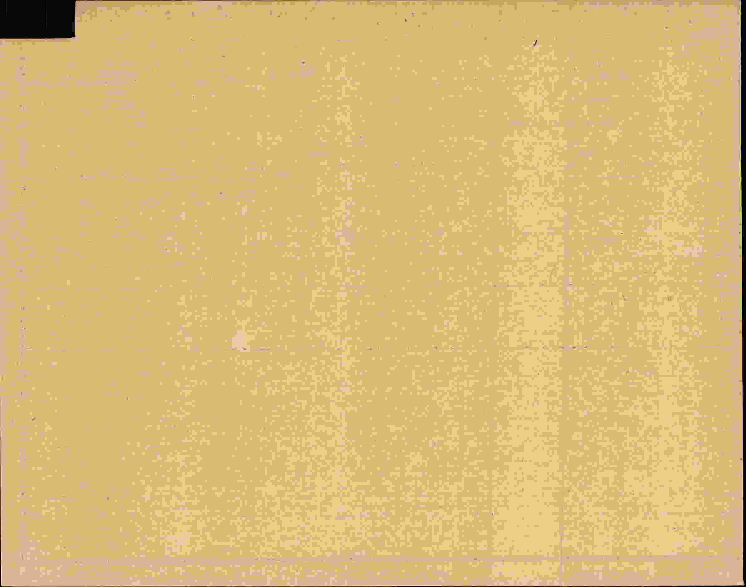 Rückseite des Dokuments