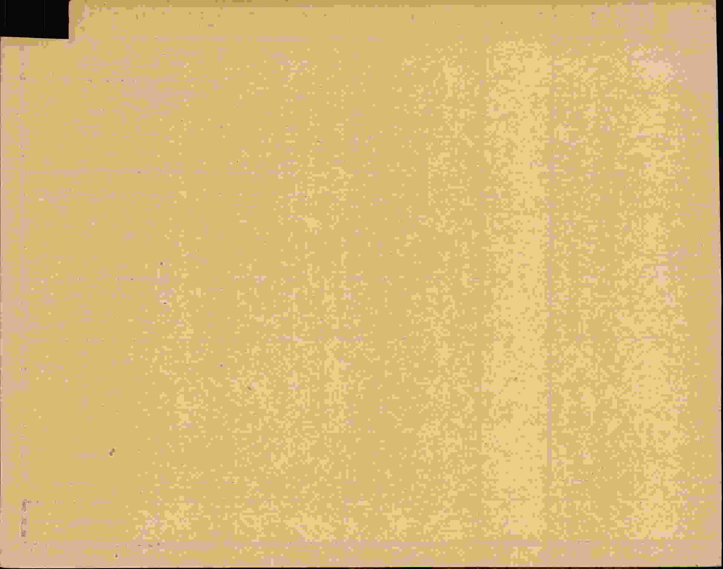 Rückseite des Dokuments