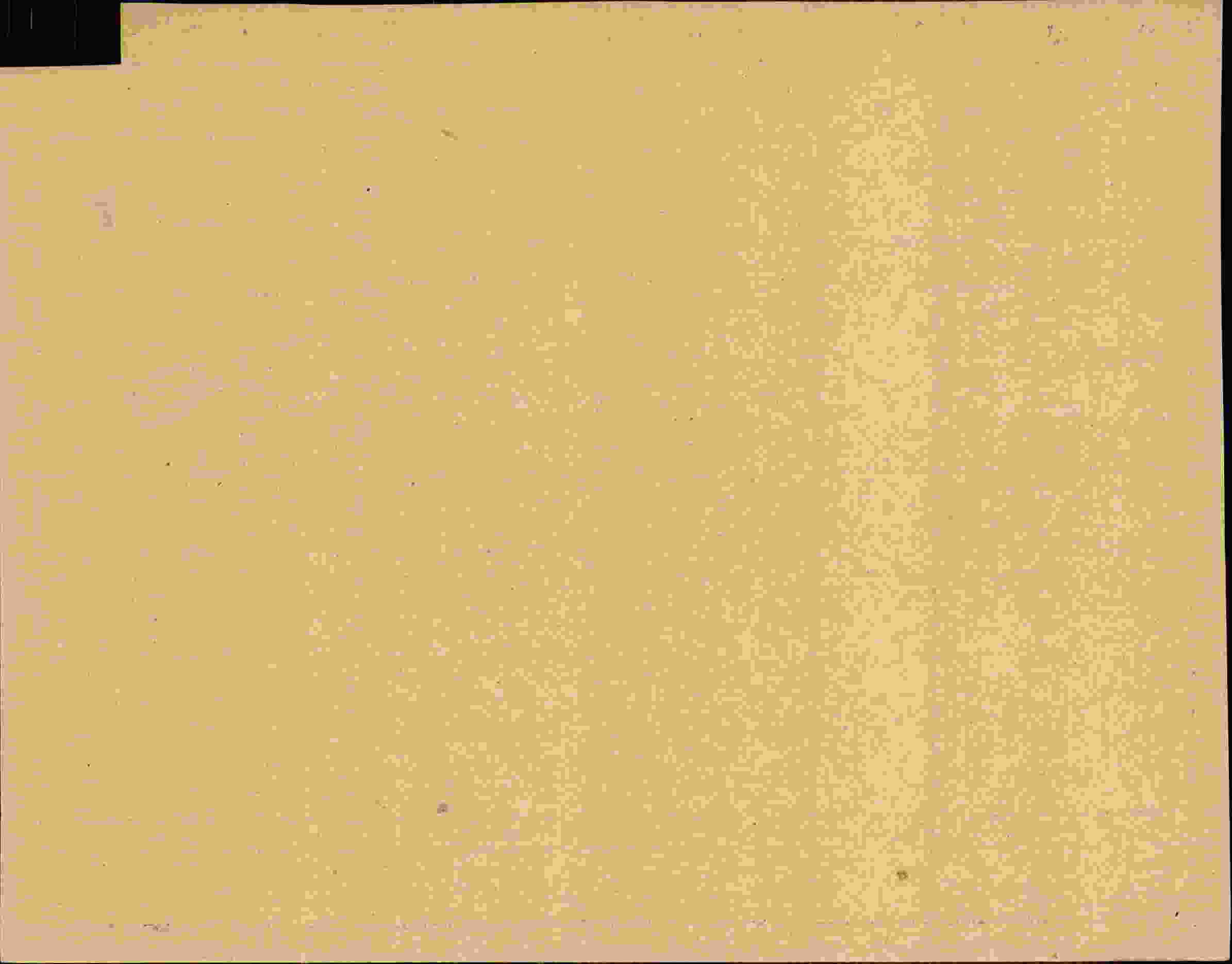 Rückseite des Dokuments