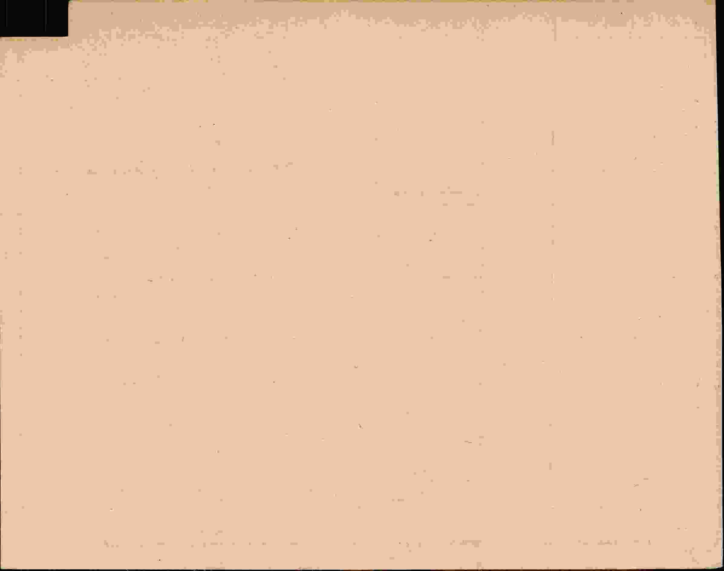 Rückseite