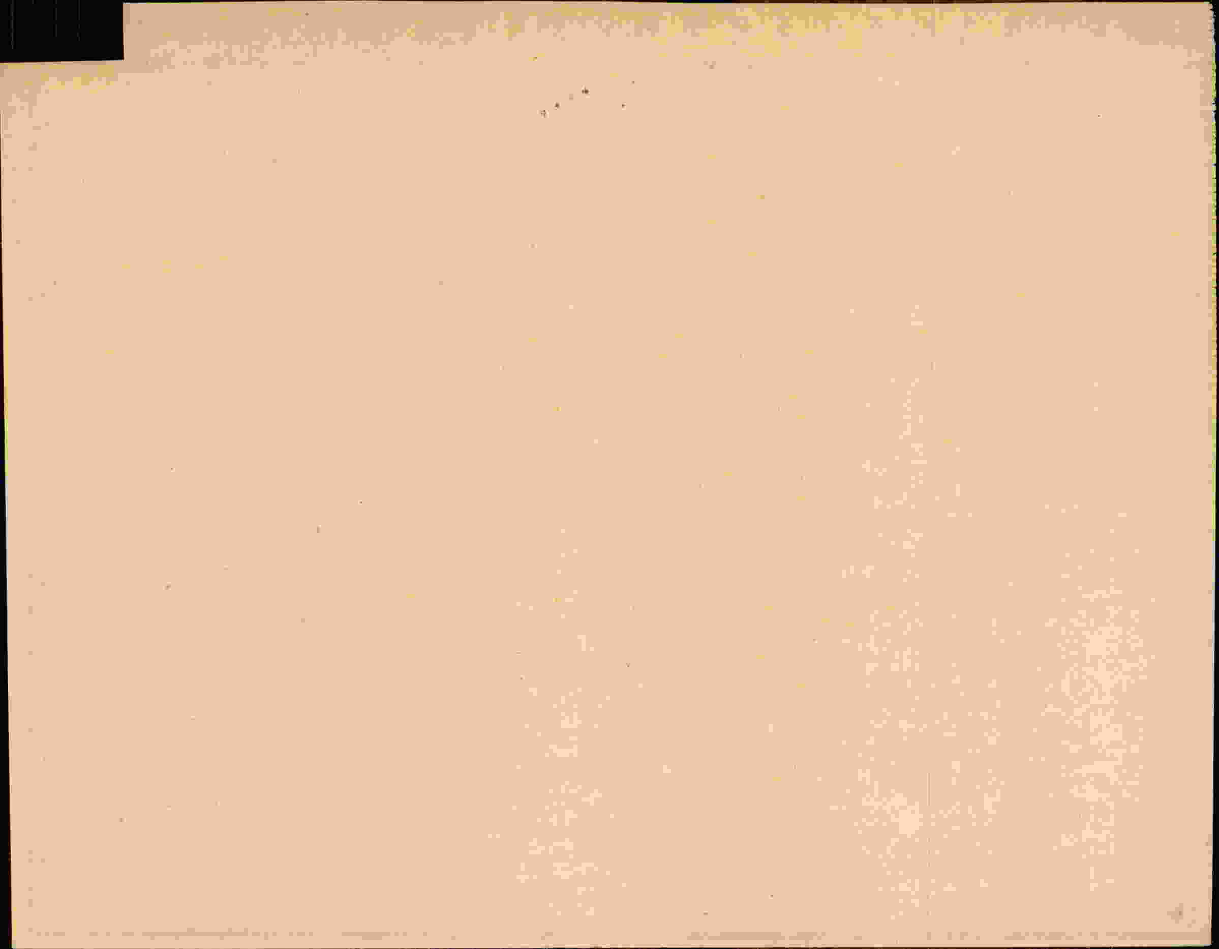 Rückseite des Dokuments