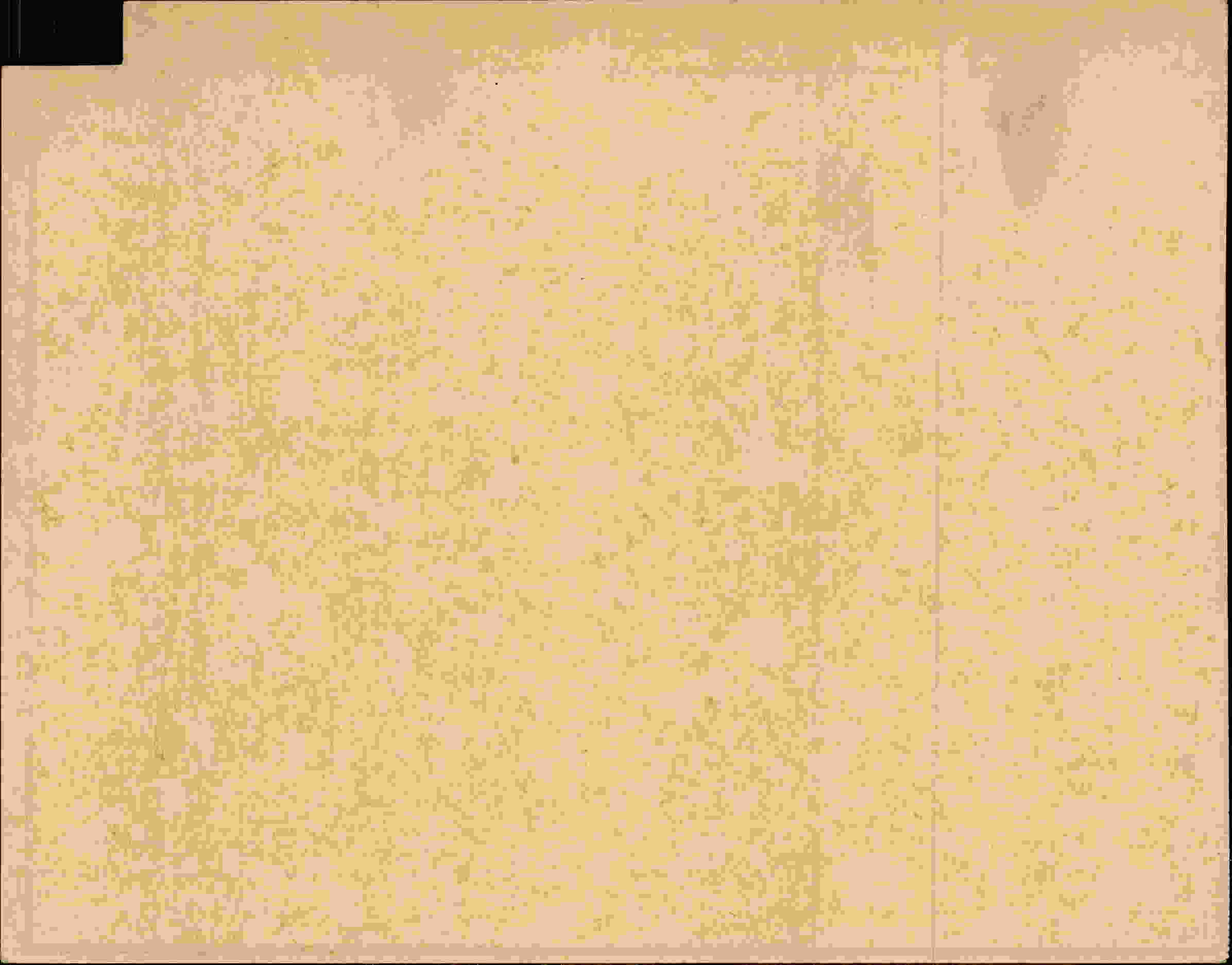 Rückseite des Dokuments