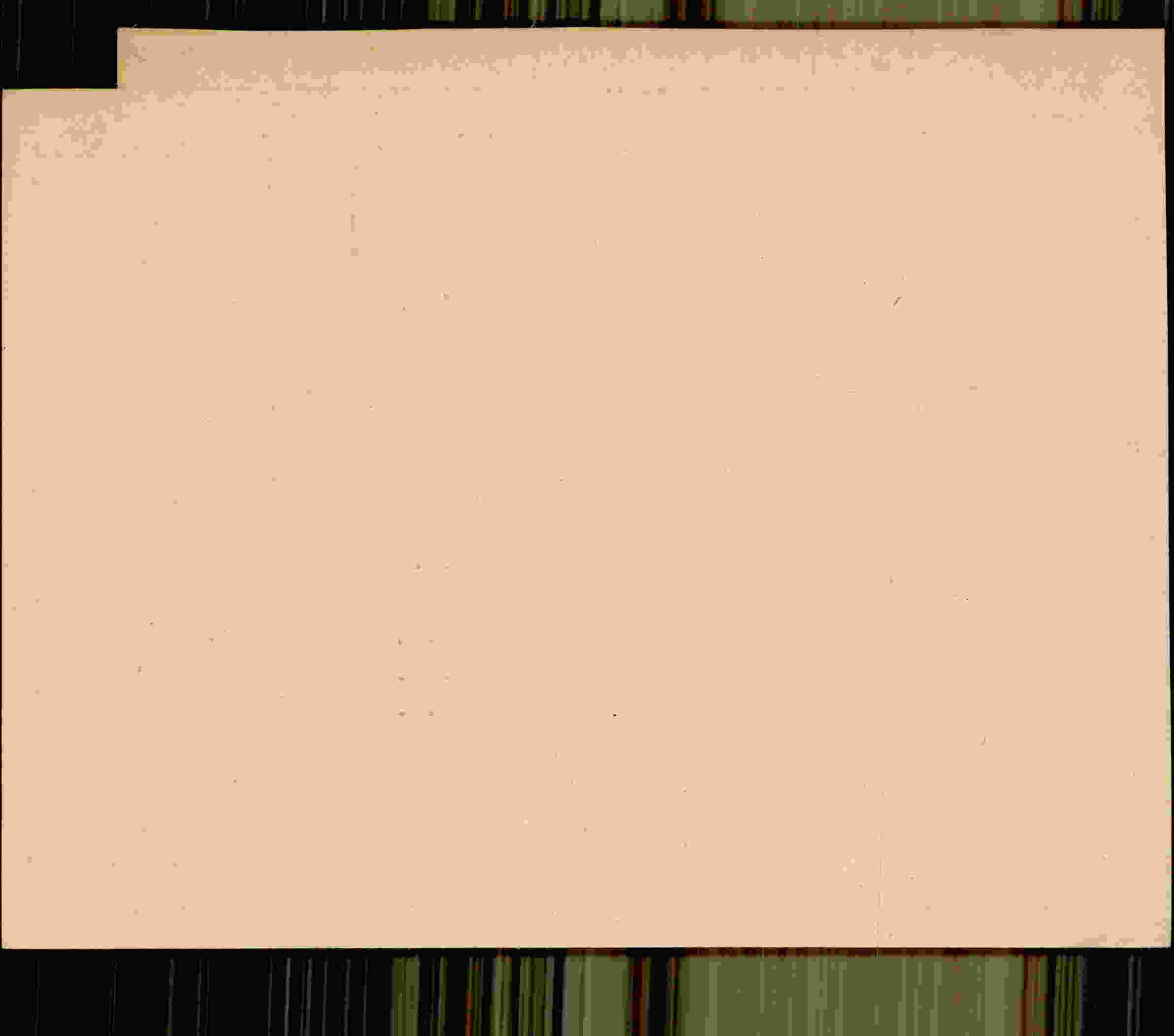 Rückseite des Dokuments