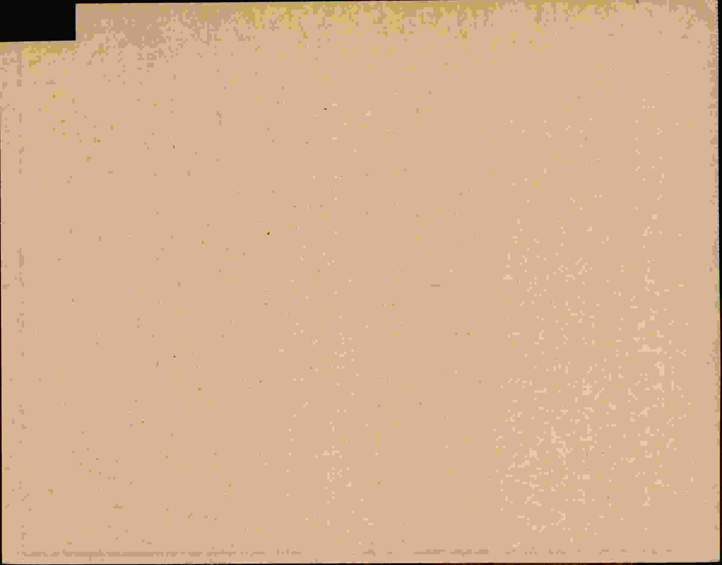 Rückseite des Dokuments