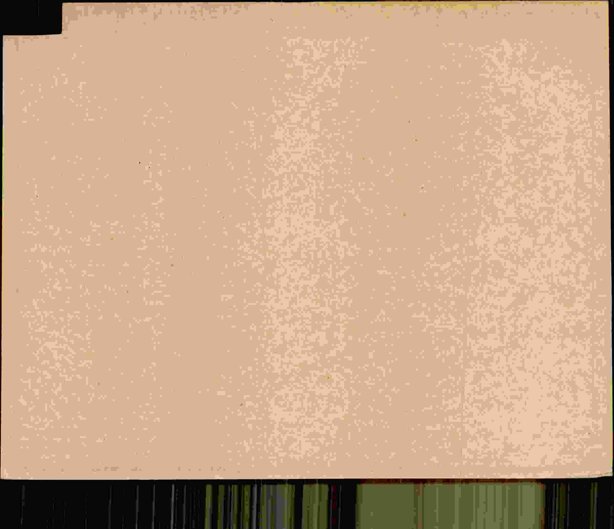 Rückseite des Dokuments
