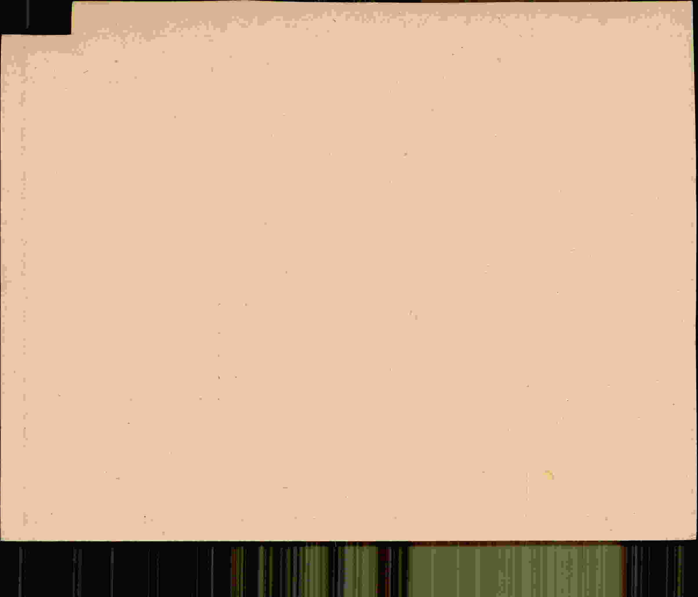Rückseite des Dokuments