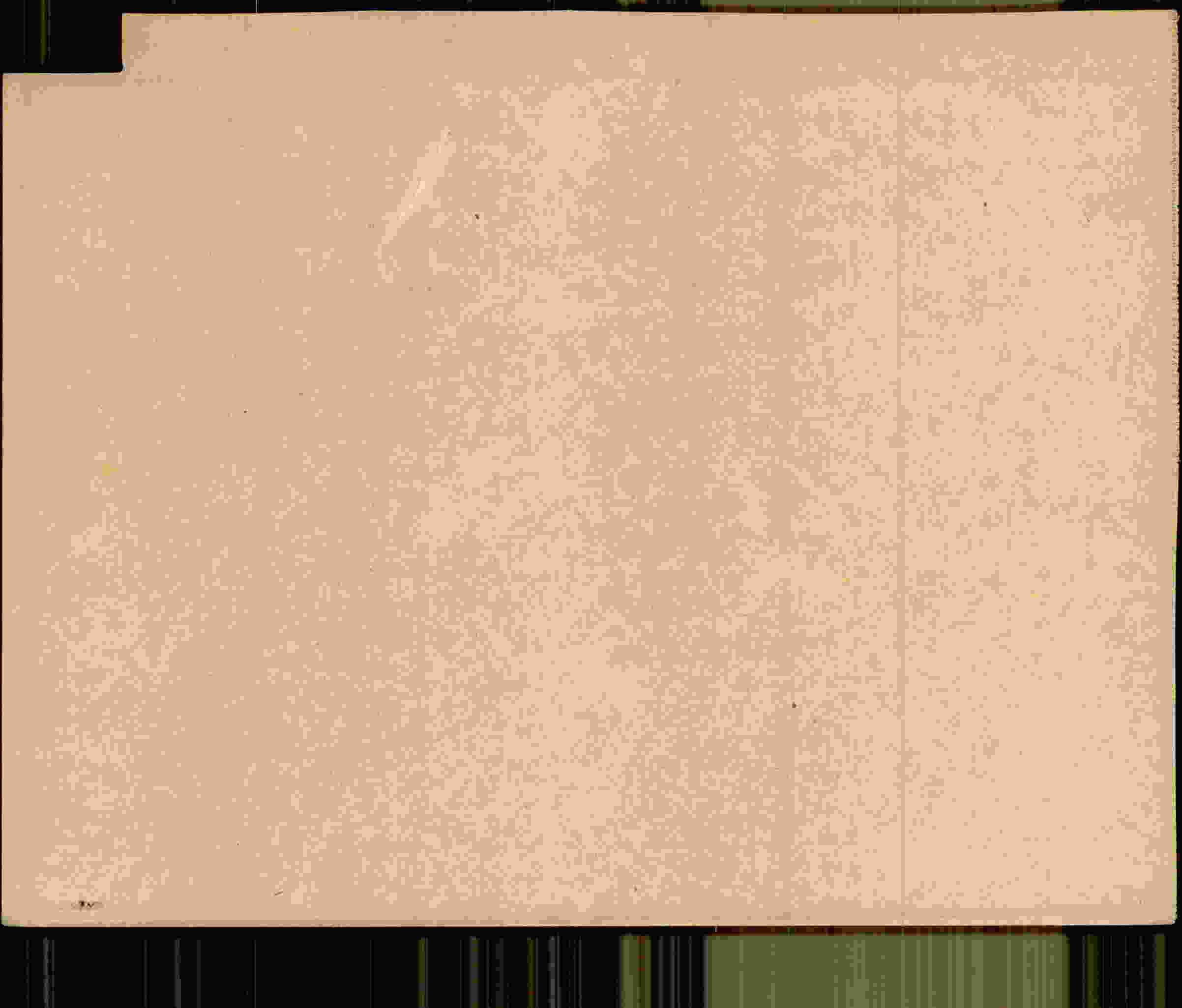 Rückseite des Dokuments