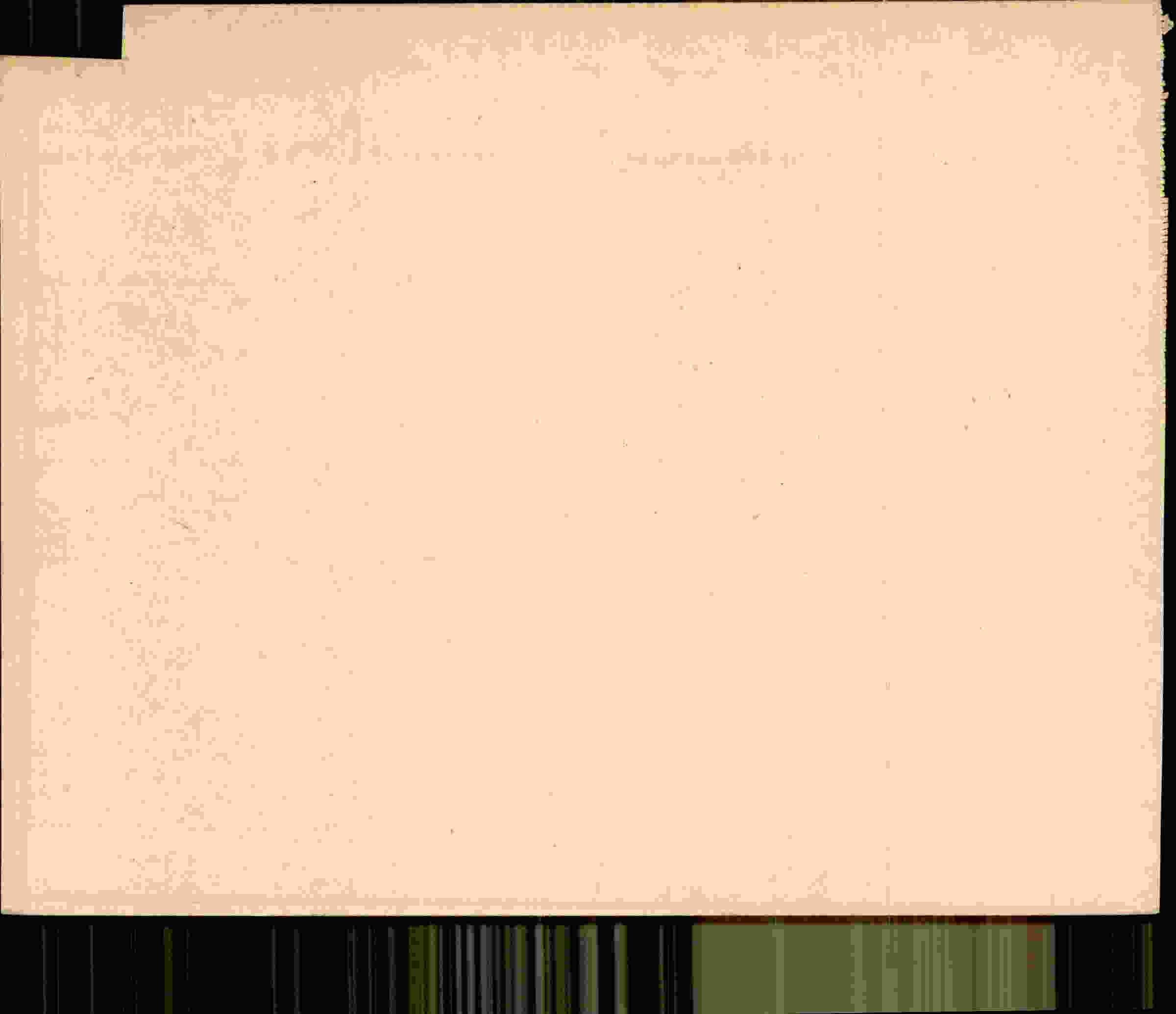 Rückseite des Dokuments