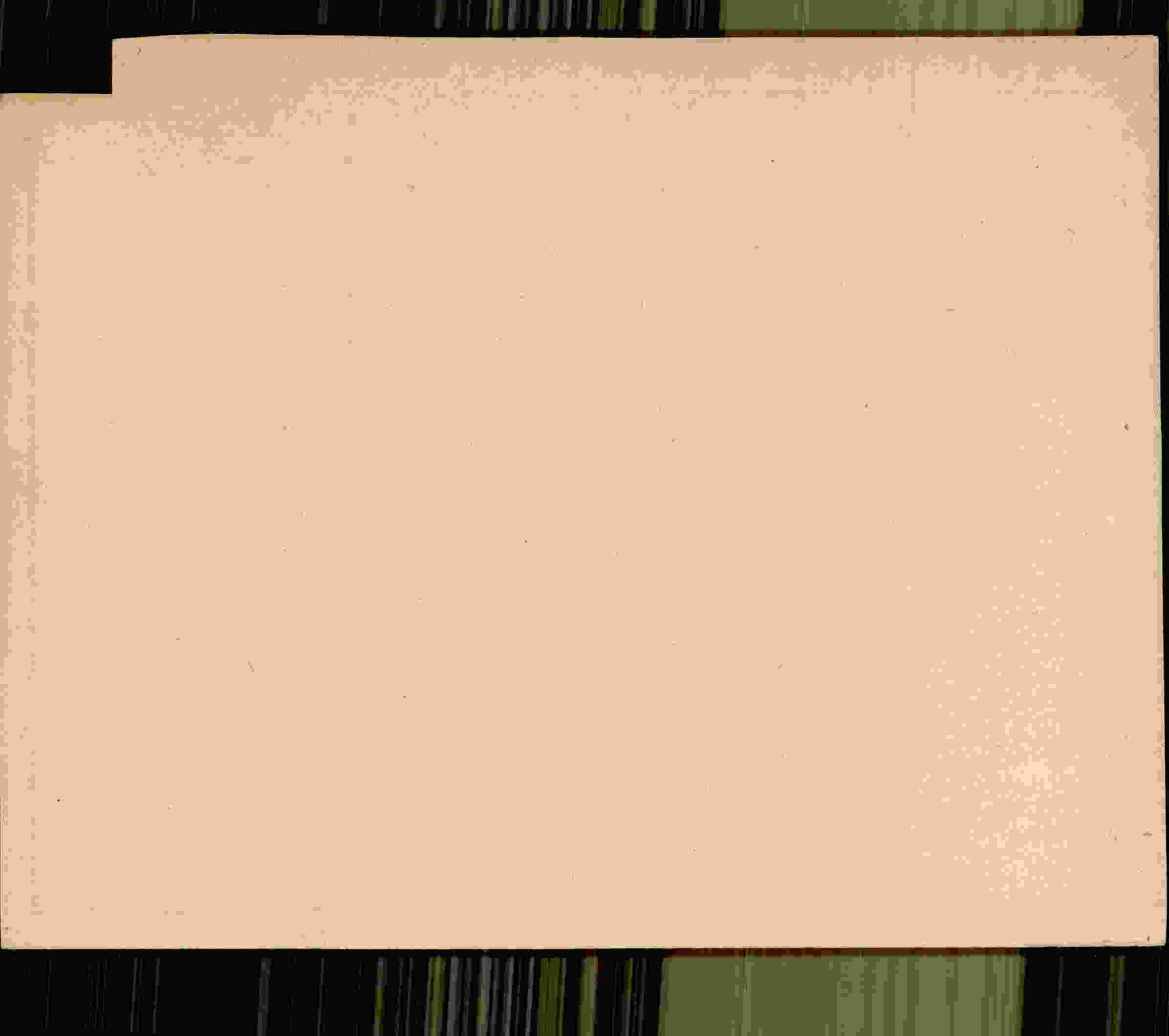 Rückseite des Dokuments