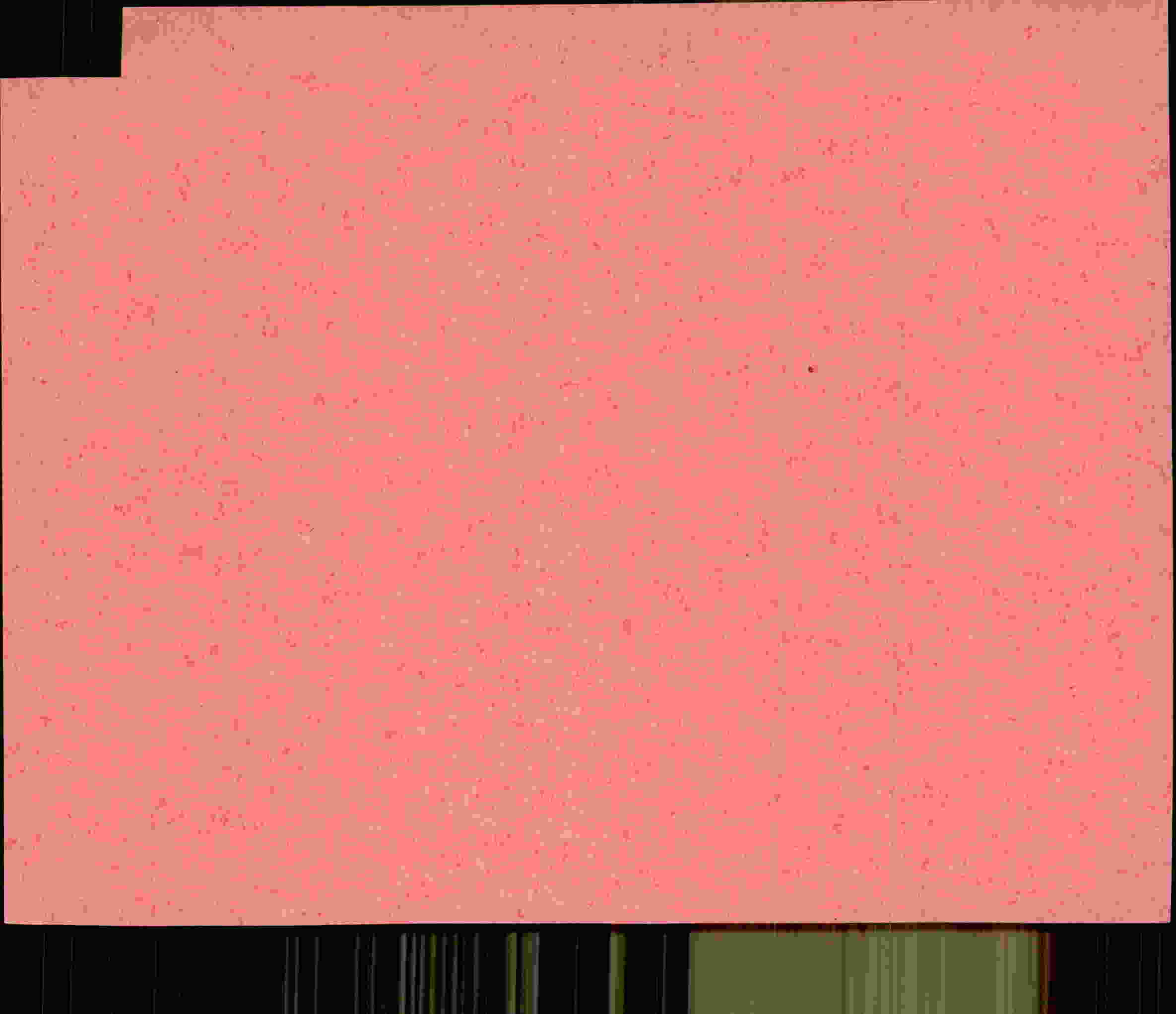 Rückseite des Dokuments