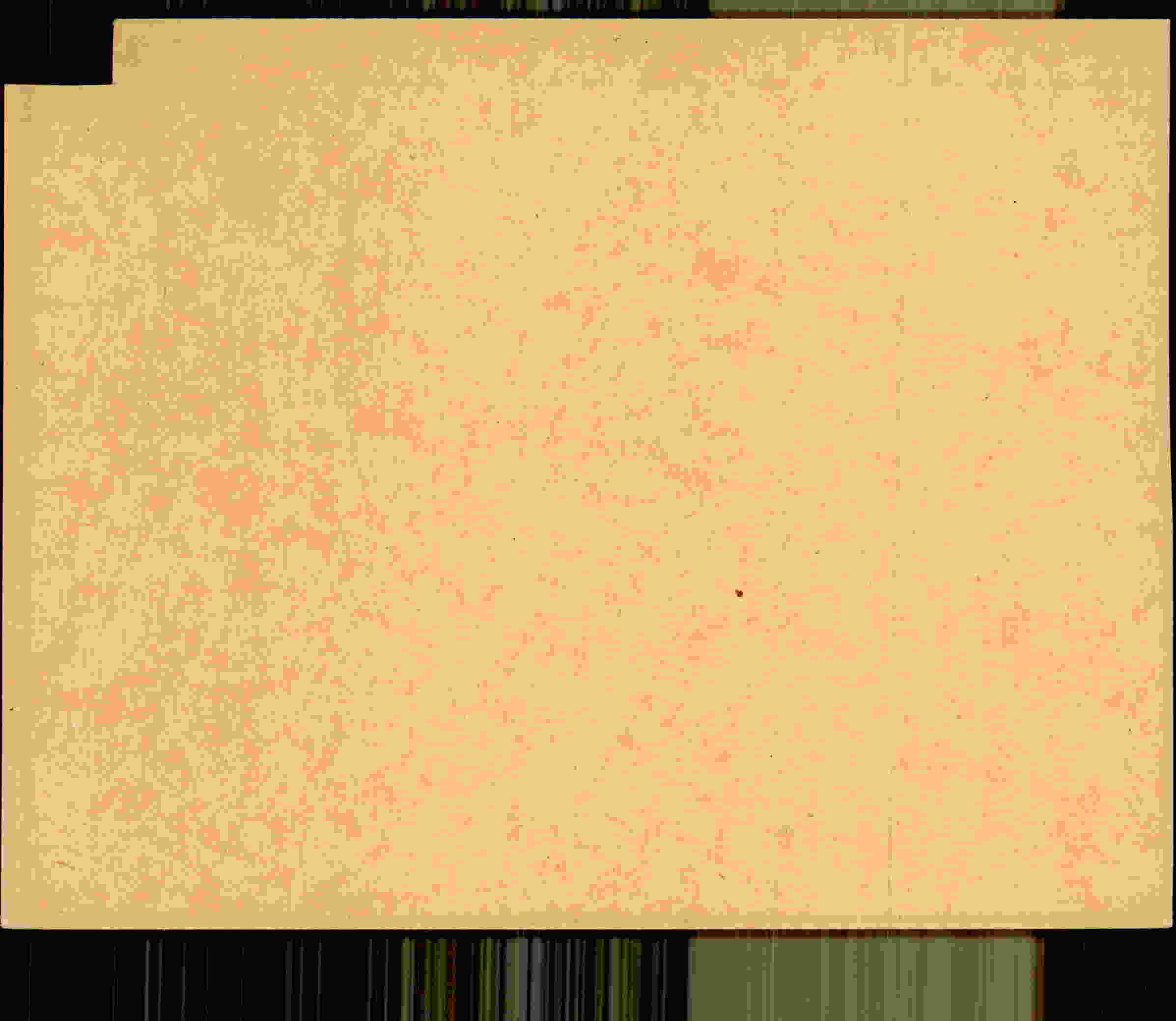 Rückseite des Dokuments