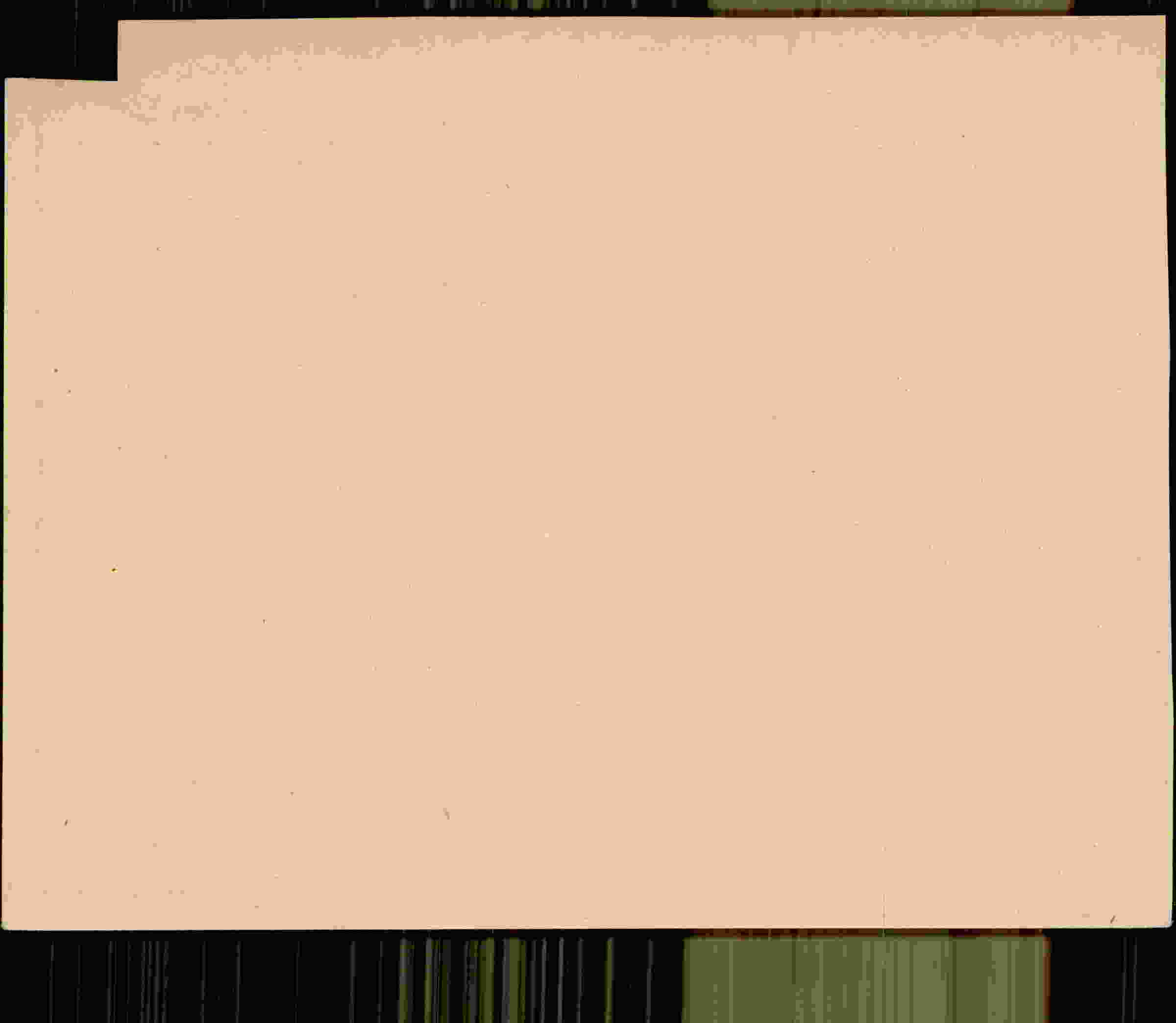 Rückseite des Dokuments
