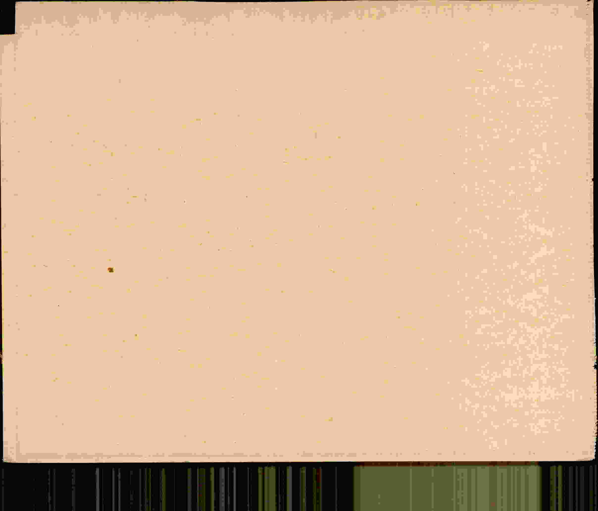 Rückseite des Dokuments