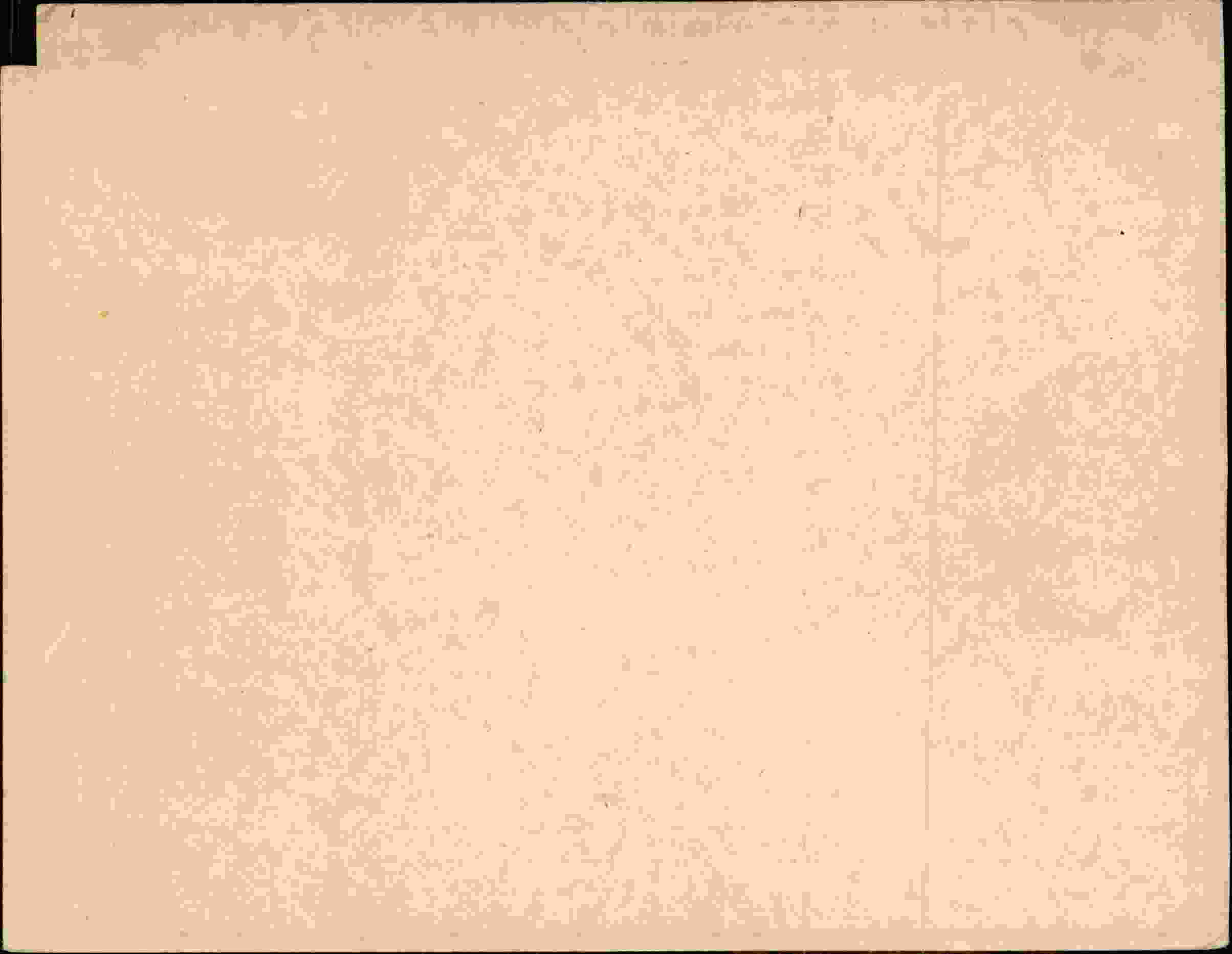 Rückseite des Dokuments