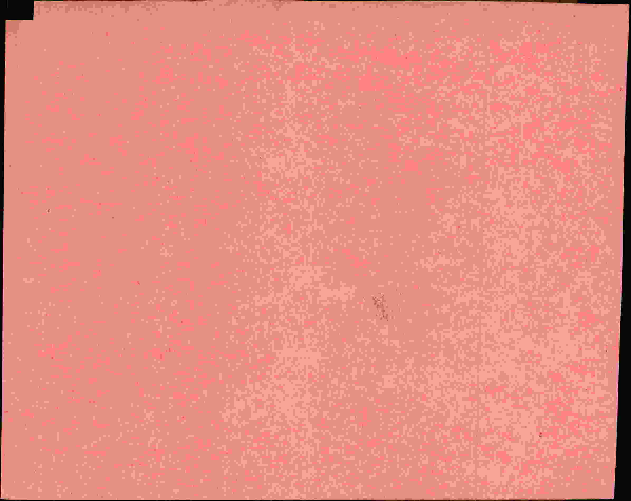 Rückseite des Dokuments
