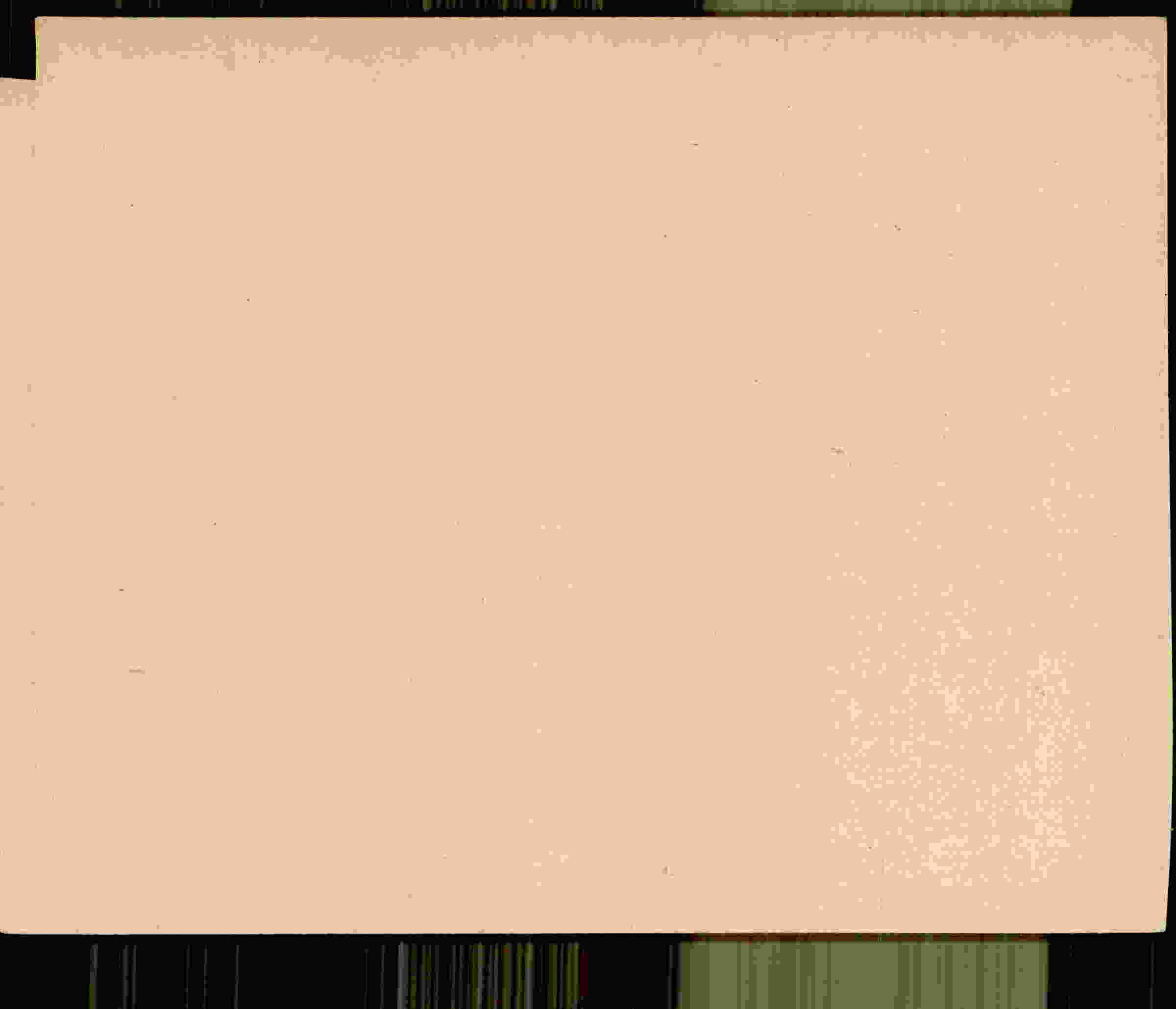 Rückseite des Dokuments