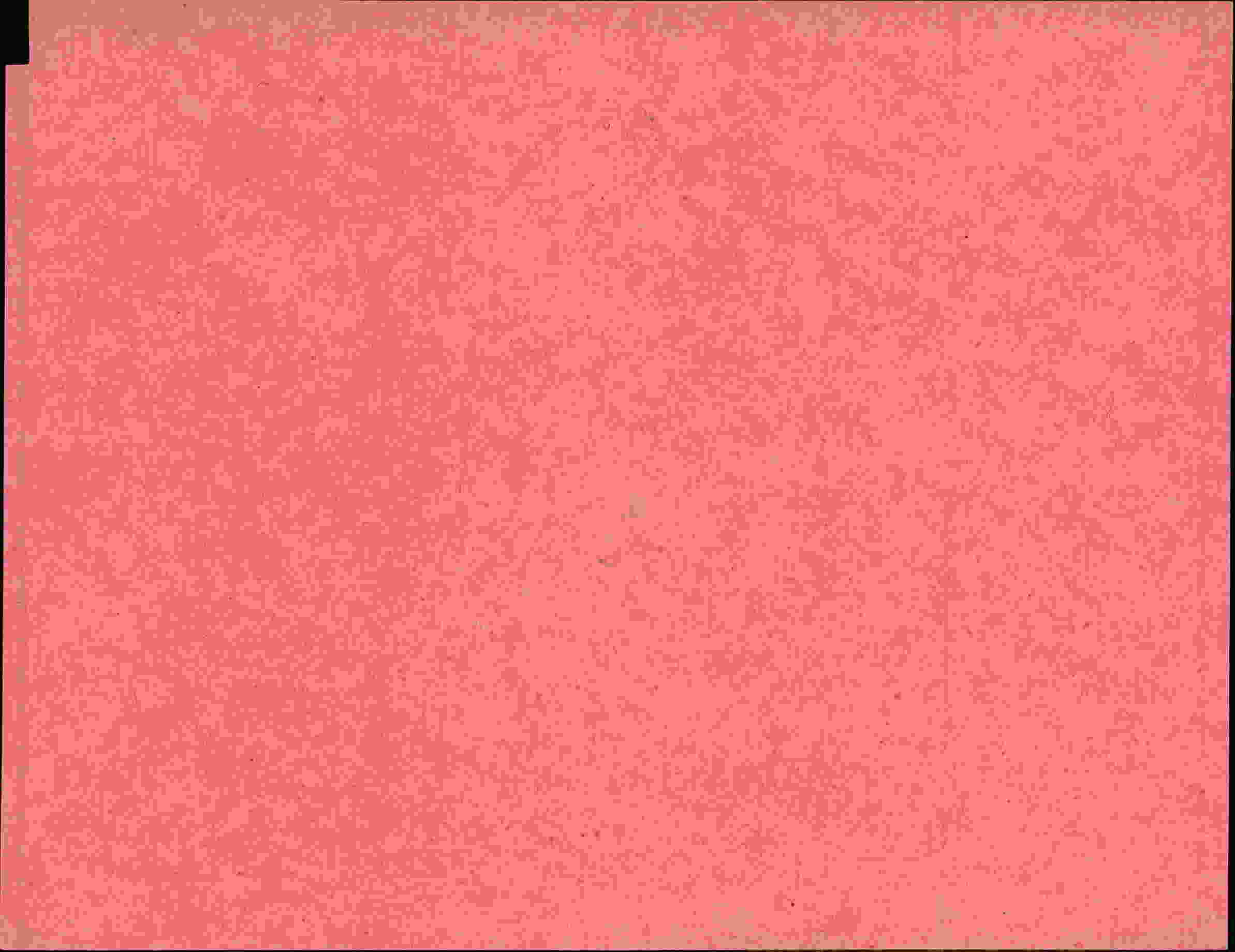 Rückseite des Dokuments