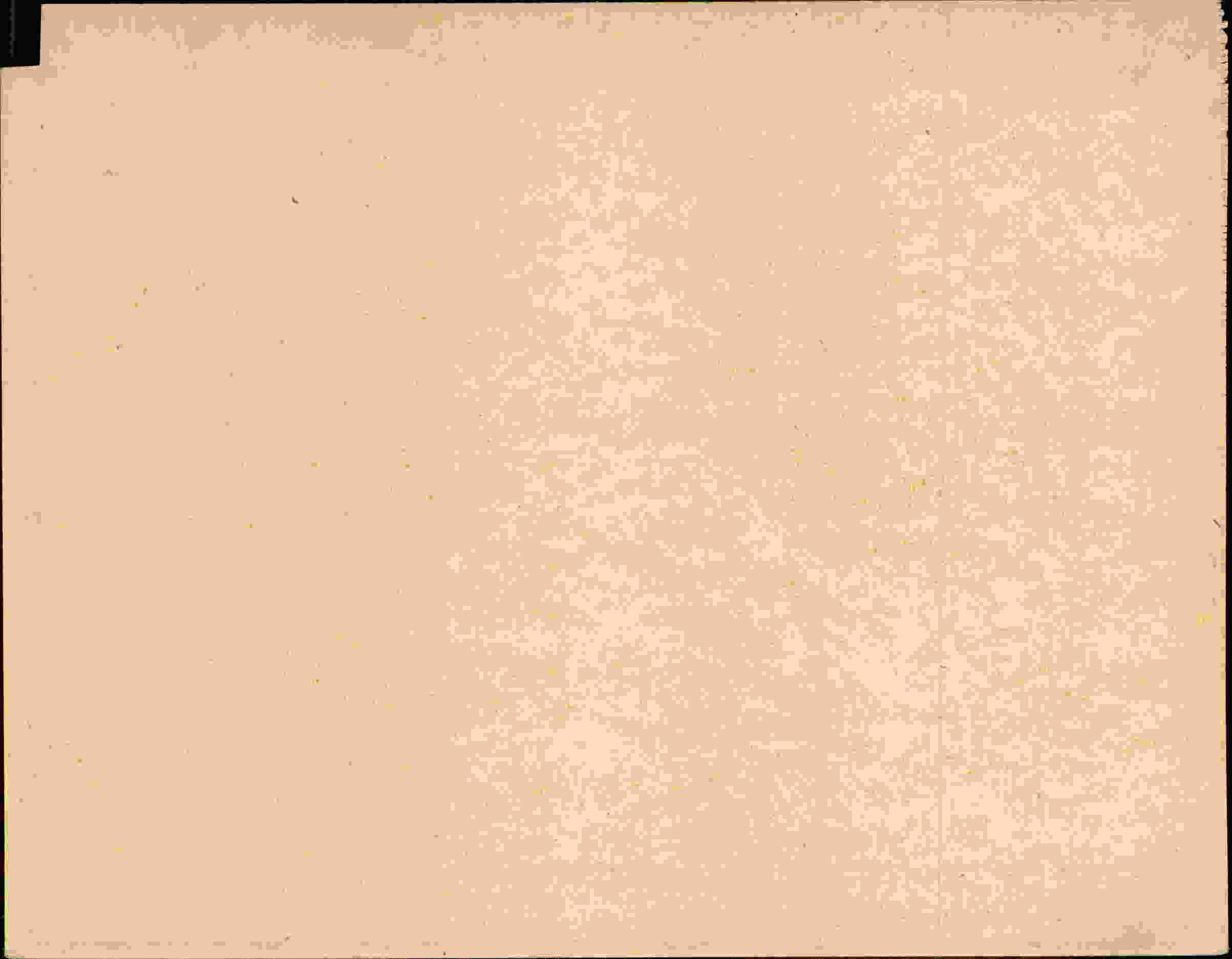 Rückseite des Dokuments