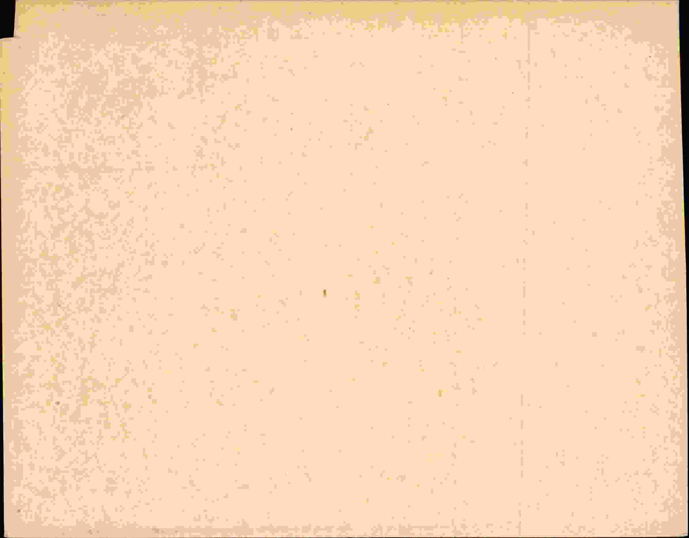 Rückseite des Dokuments
