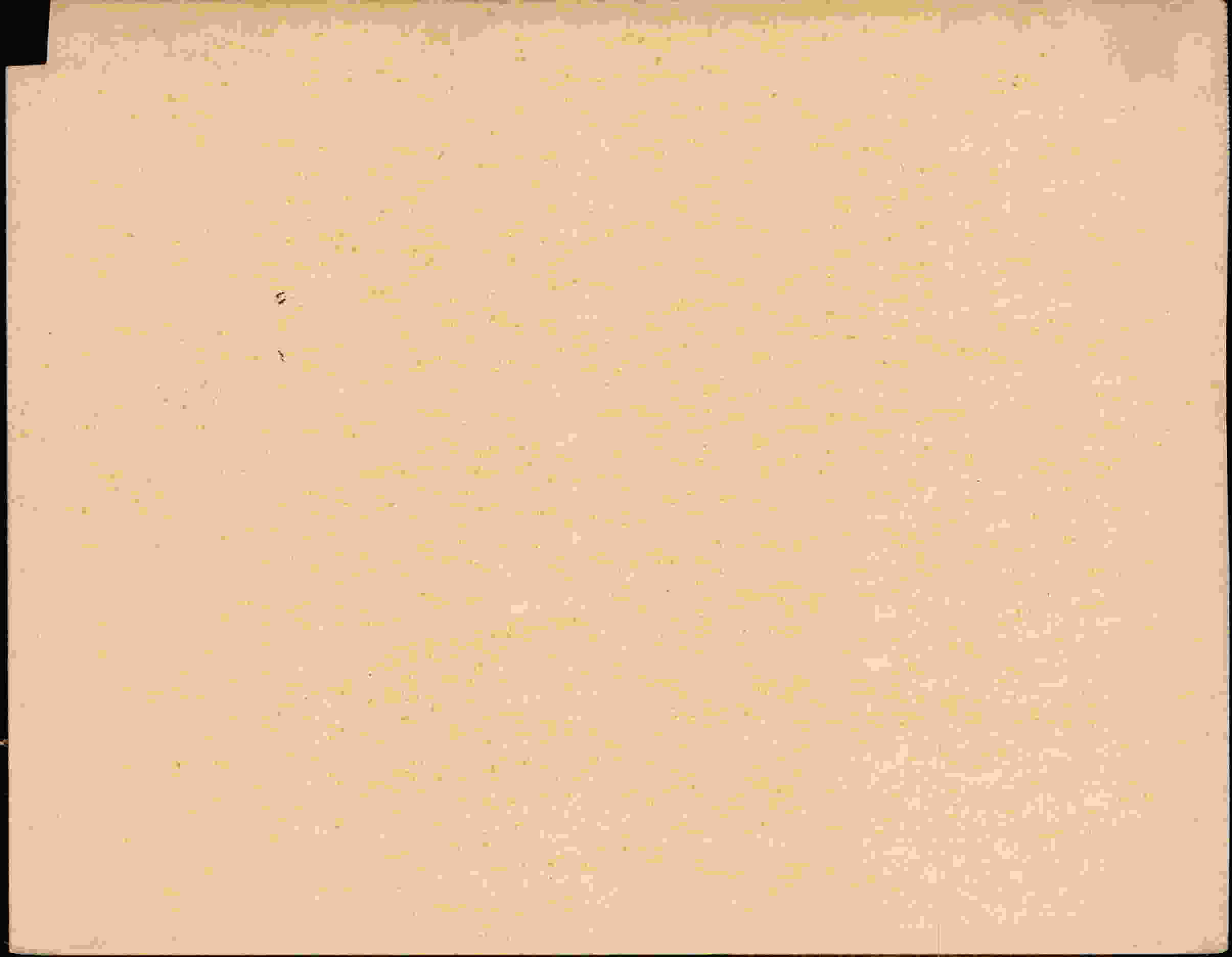 Rückseite des Dokuments